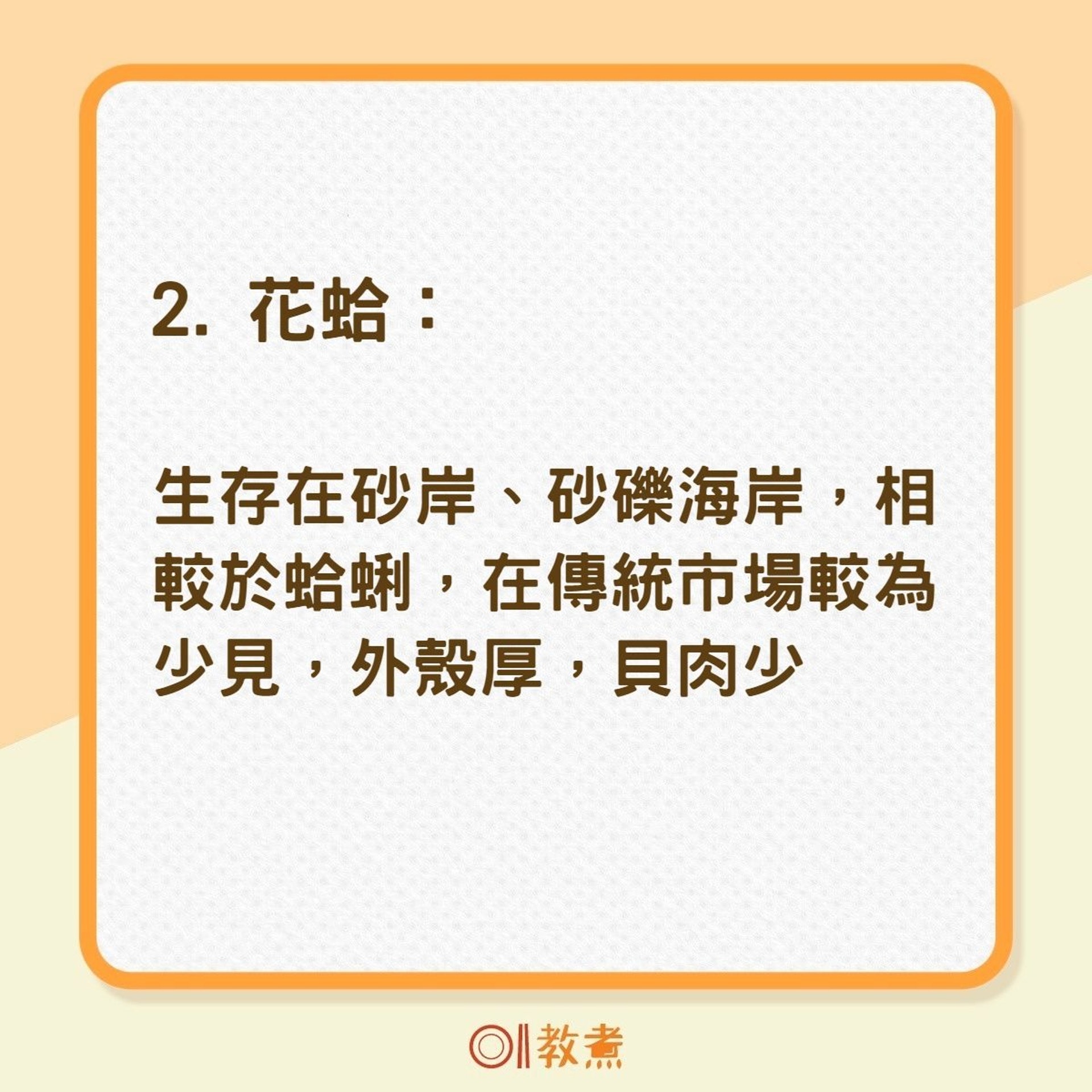 生蠔扇貝5種潮間帶食用貝類蒸炒煮炸點煮最鮮味邊種最啱烤 香港01 教煮 生蠔扇貝5種潮間帶食用貝類蒸炒煮炸點煮最鮮味邊種最啱烤 香港01 教煮