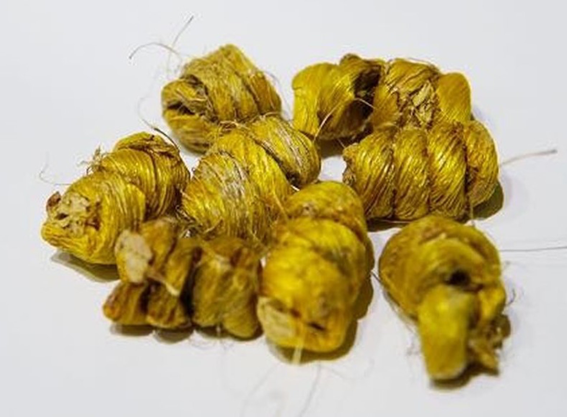 石斛比較適合於夏秋兩季飲用,特別是胃火偏盛,即常有口乾口渴口臭、噯氣、突然食慾較旺人士。(資料圖片) 石斛比較適合於夏秋兩季飲用,特別是胃火偏盛,即常有口乾口渴口臭、噯氣、突然食慾較旺人士。(資料圖片)