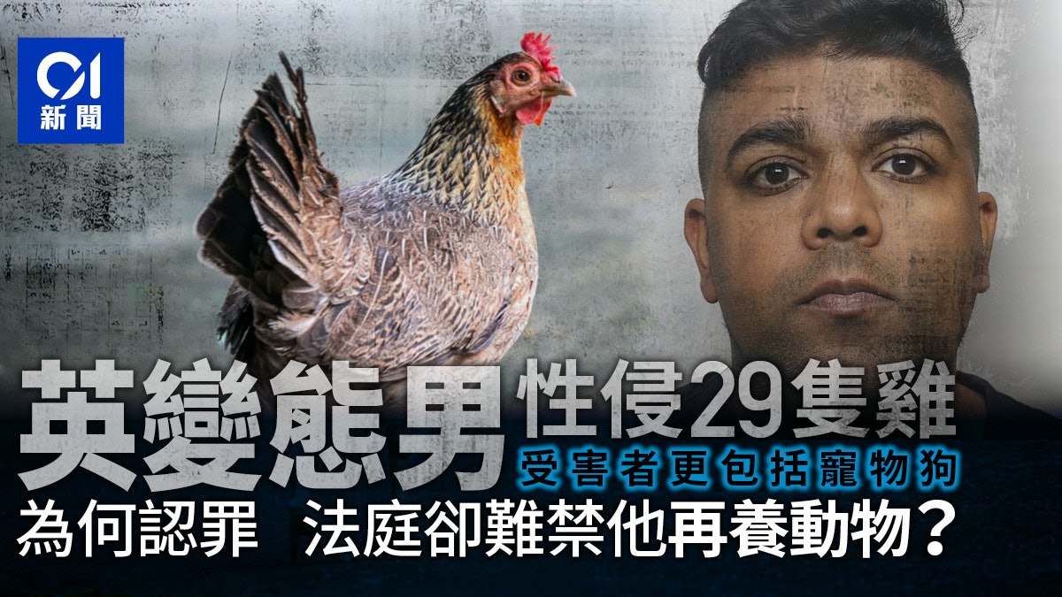 英國男變態性侵29雞隻致死 法官為何「無權禁止他養動物」? 英國男變態性侵29雞隻致死 法官為何「無權禁止他養動物」?