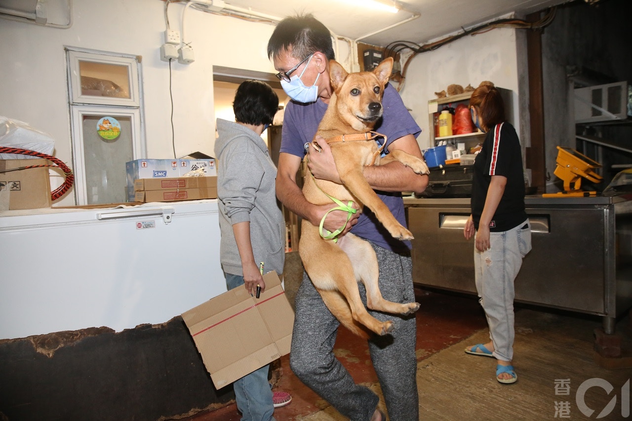 場內收容了約150隻狗及30隻貓。(陳永武攝) 場內收容了約150隻狗及30隻貓。(陳永武攝)