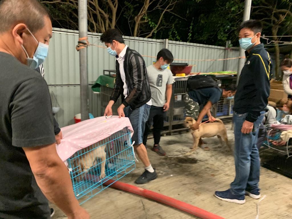 藝人楊證樺及袁文傑均有到場協助。(義工提供) 藝人楊證樺及袁文傑均有到場協助。(義工提供)