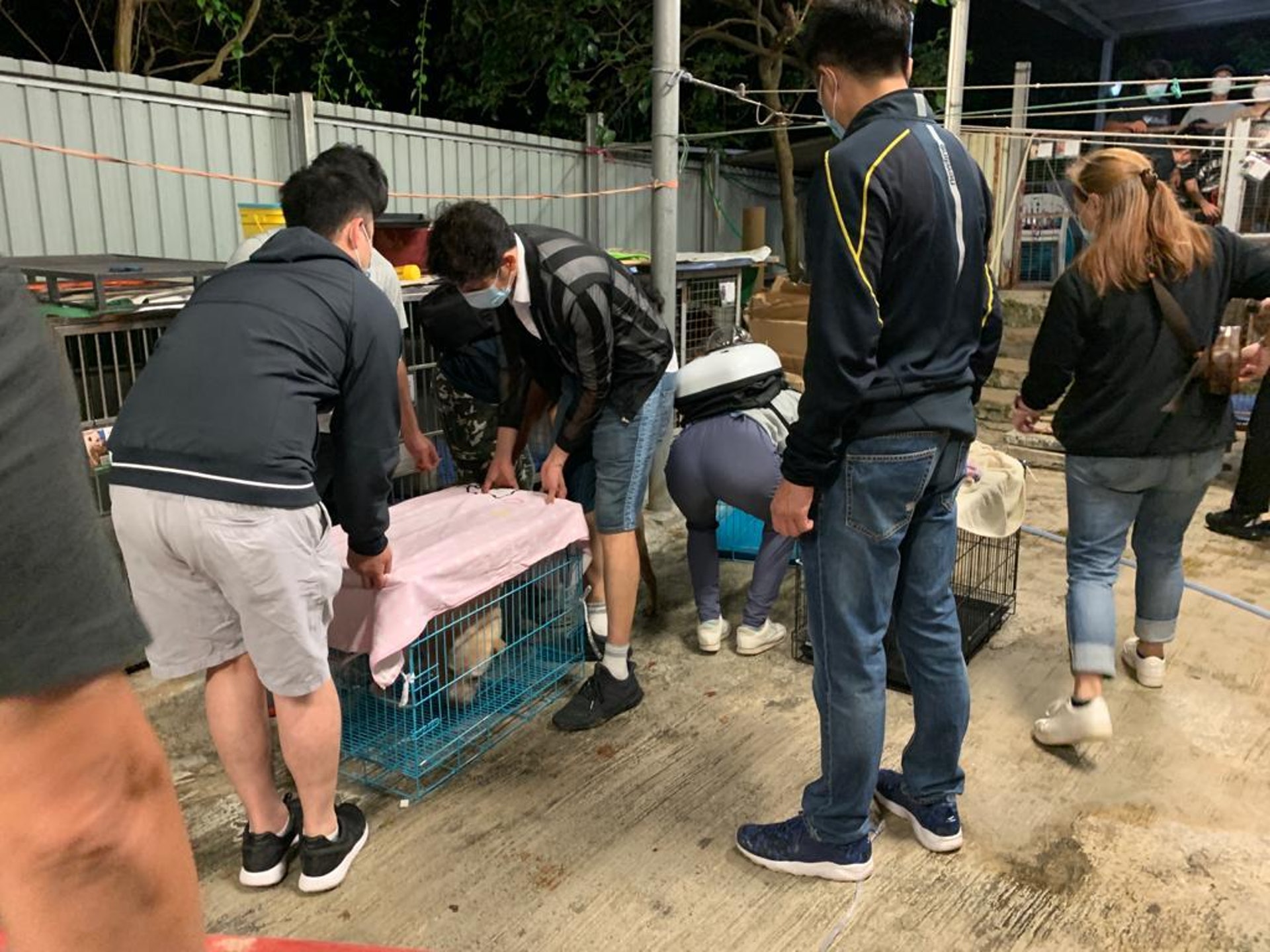 藝人楊證樺及袁文傑均有到場協助。(義工提供) 藝人楊證樺及袁文傑均有到場協助。(義工提供)