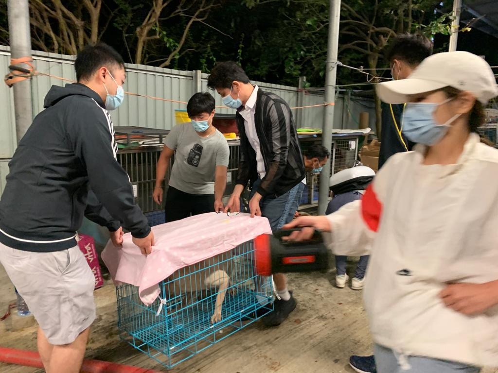 藝人楊證樺及袁文傑均有到場協助。(義工提供) 藝人楊證樺及袁文傑均有到場協助。(義工提供)