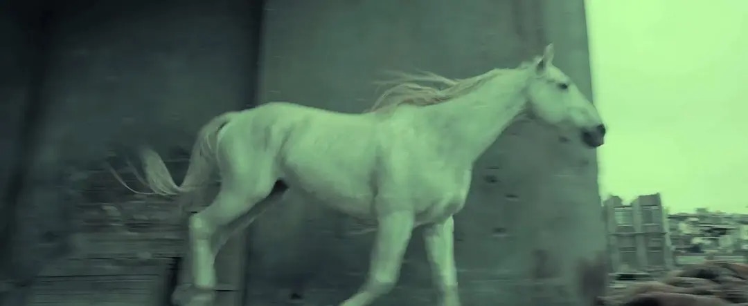 白馬是士兵內心個人英雄主義的外化。（《八佰》劇照）