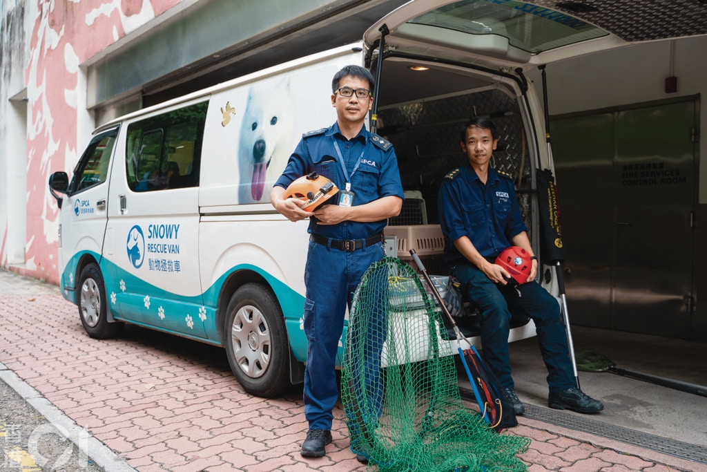 即使拯救隊見到這種情況,也只能對飼主發出無約束力的勸喻或警告,當下一次出現相同情況,或可能成為檢控的事實證據。(鄭子峰攝) 即使拯救隊見到這種情況,也只能對飼主發出無約束力的勸喻或警告,當下一次出現相同情況,或可能成為檢控的事實證據。(鄭子峰攝)