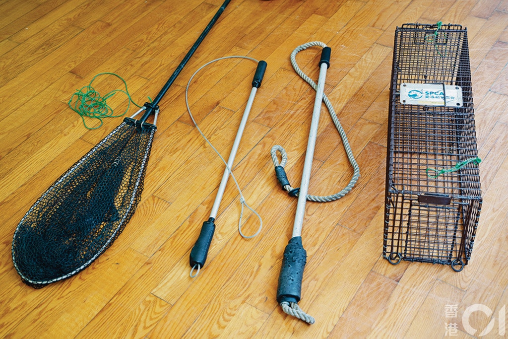 拯救隊的工具大部份是加工或自製,如在繩索(右二)的鐵通位置加設海綿,避免狗隻用力咬時牙齒出血。(鄭子峰攝) 拯救隊的工具大部份是加工或自製,如在繩索(右二)的鐵通位置加設海綿,避免狗隻用力咬時牙齒出血。(鄭子峰攝)