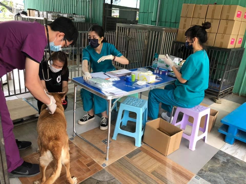 毛守在社交平台表示,因前線義工僅此兩人,故此救援工作需停止一星期。(Facebook@毛孩守護者) 毛守在社交平台表示,因前線義工僅此兩人,故此救援工作需停止一星期。(Facebook@毛孩守護者)