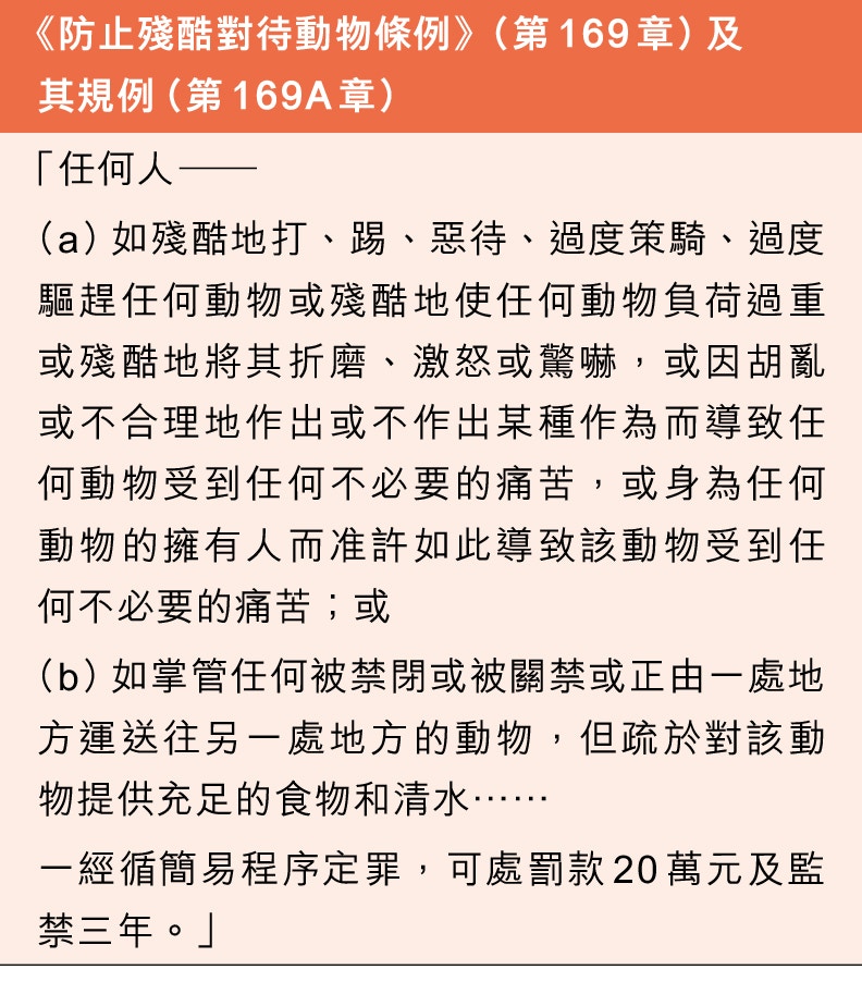 (香港01製圖) (香港01製圖)