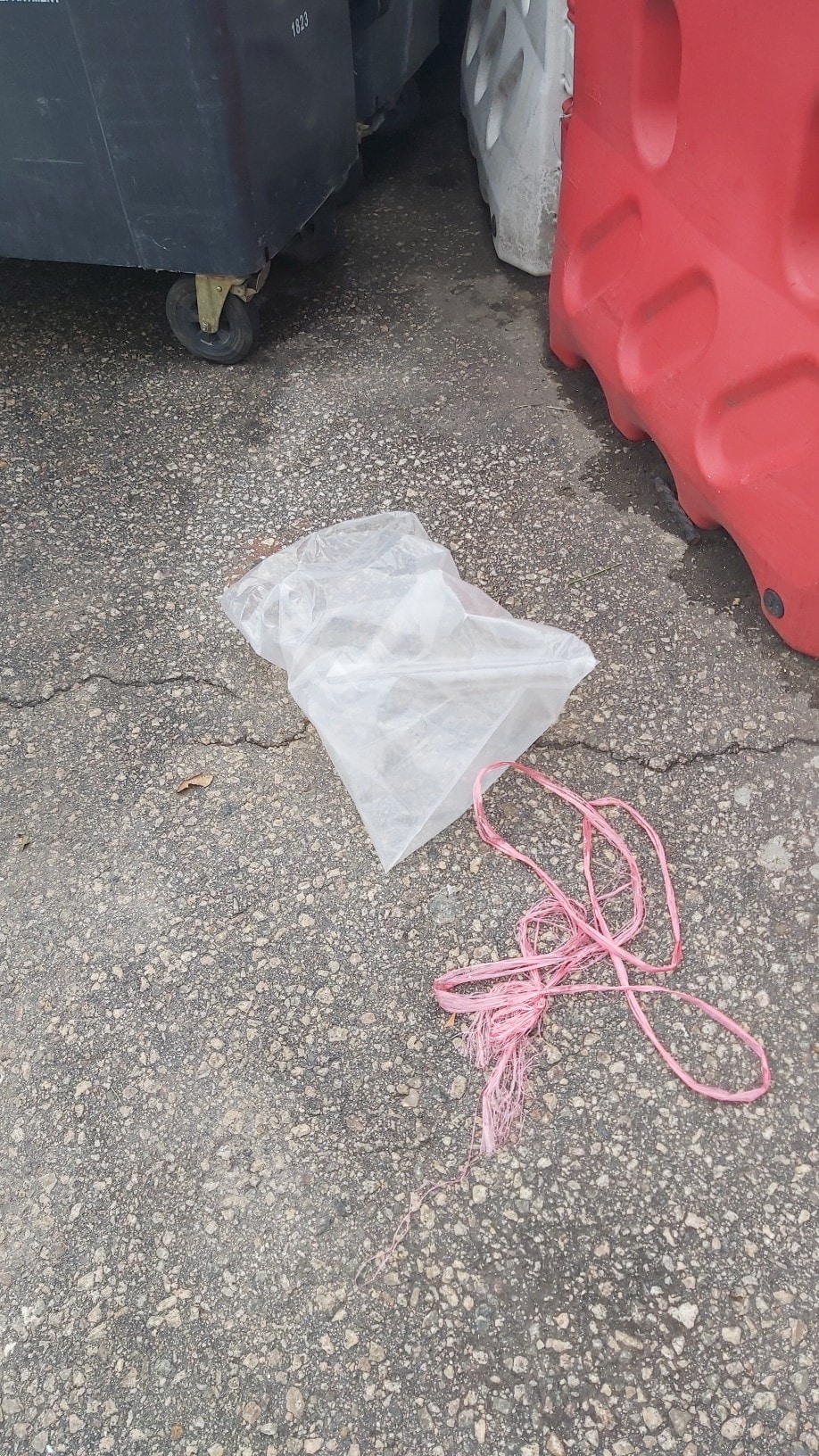 可惜只見原本用來裝貓的膠袋,已經不見其貓。(facebook圖片:天下貓貓一樣貓群組) 可惜只見原本用來裝貓的膠袋,已經不見其貓。(facebook圖片:天下貓貓一樣貓群組)