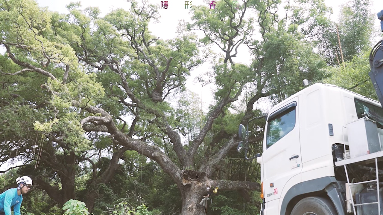 樹木希林 香港01