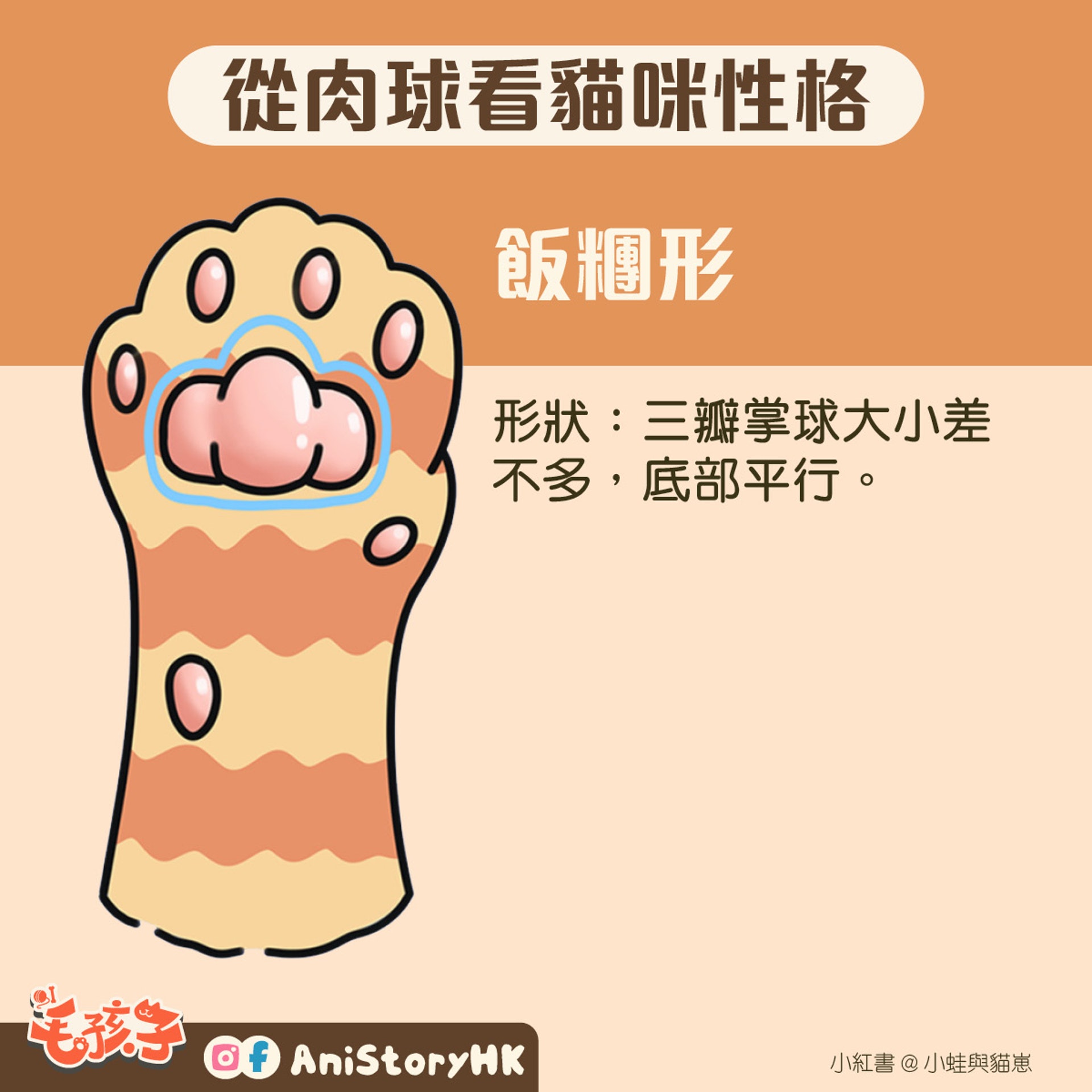 神準 貓肉球形狀反映真實性格一看即知親人度惡霸都是樣子 香港01 寵物 神準 貓肉球形狀反映真實性格一看即知親人度惡霸都是樣子 香港01 寵物