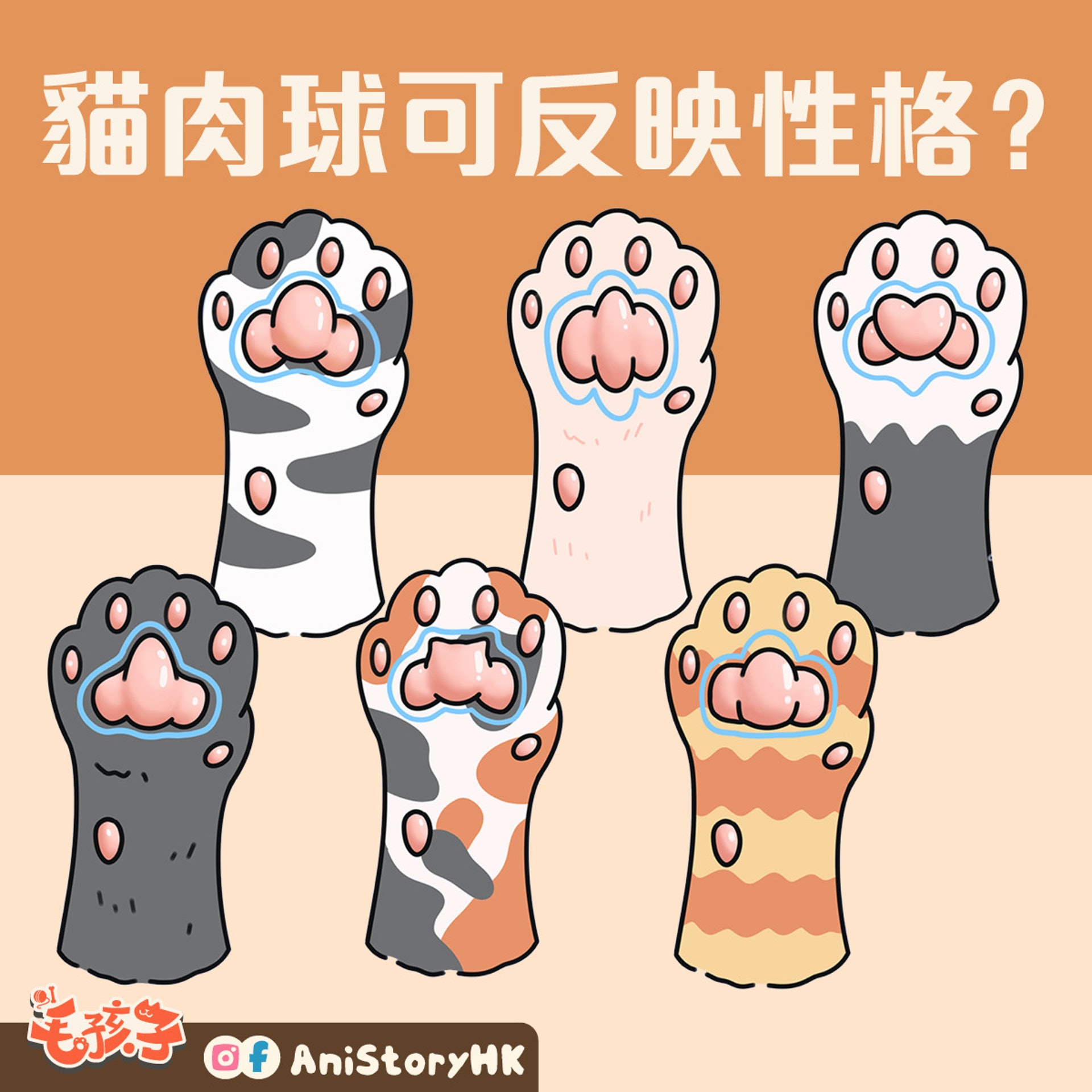 神準 貓肉球形狀反映真實性格一看即知親人度惡霸都是樣子 香港01 寵物 神準 貓肉球形狀反映真實性格一看即知親人度惡霸都是樣子 香港01 寵物