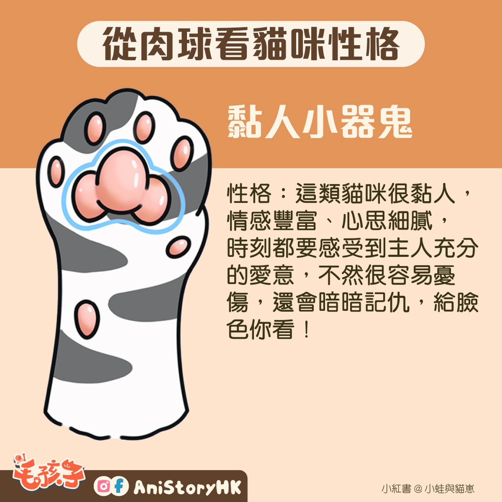 神準 貓肉球形狀反映真實性格一看即知親人度惡霸都是樣子 神準 貓肉球形狀反映真實性格一看即知親人度惡霸都是樣子