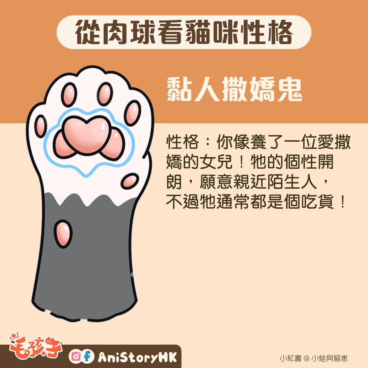 神準 貓肉球形狀反映真實性格一看即知親人度惡霸都是樣子 香港01 寵物 神準 貓肉球形狀反映真實性格一看即知親人度惡霸都是樣子 香港01 寵物