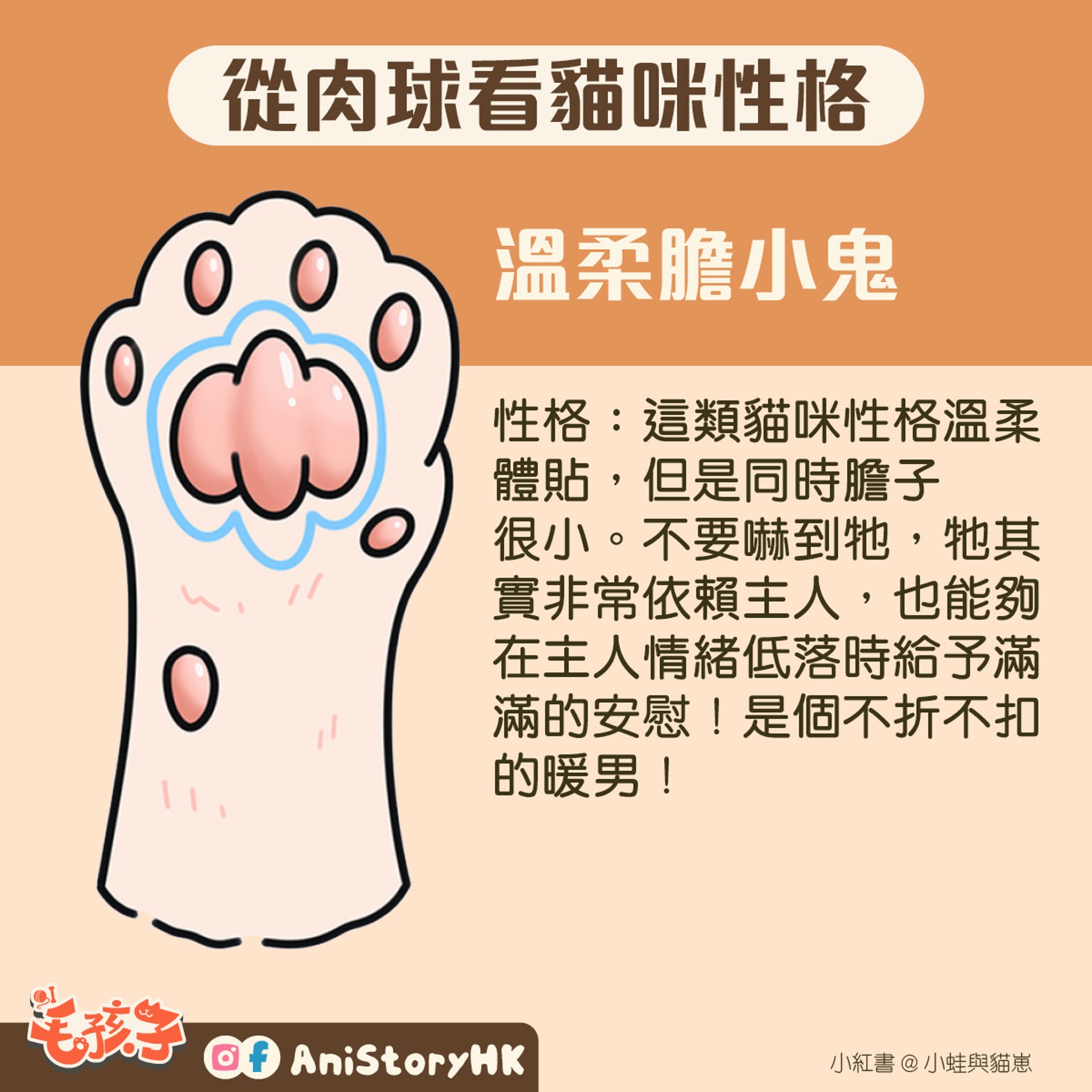 神準 貓肉球形狀反映真實性格一看即知親人度惡霸都是樣子 香港01 寵物 神準 貓肉球形狀反映真實性格一看即知親人度惡霸都是樣子 香港01 寵物