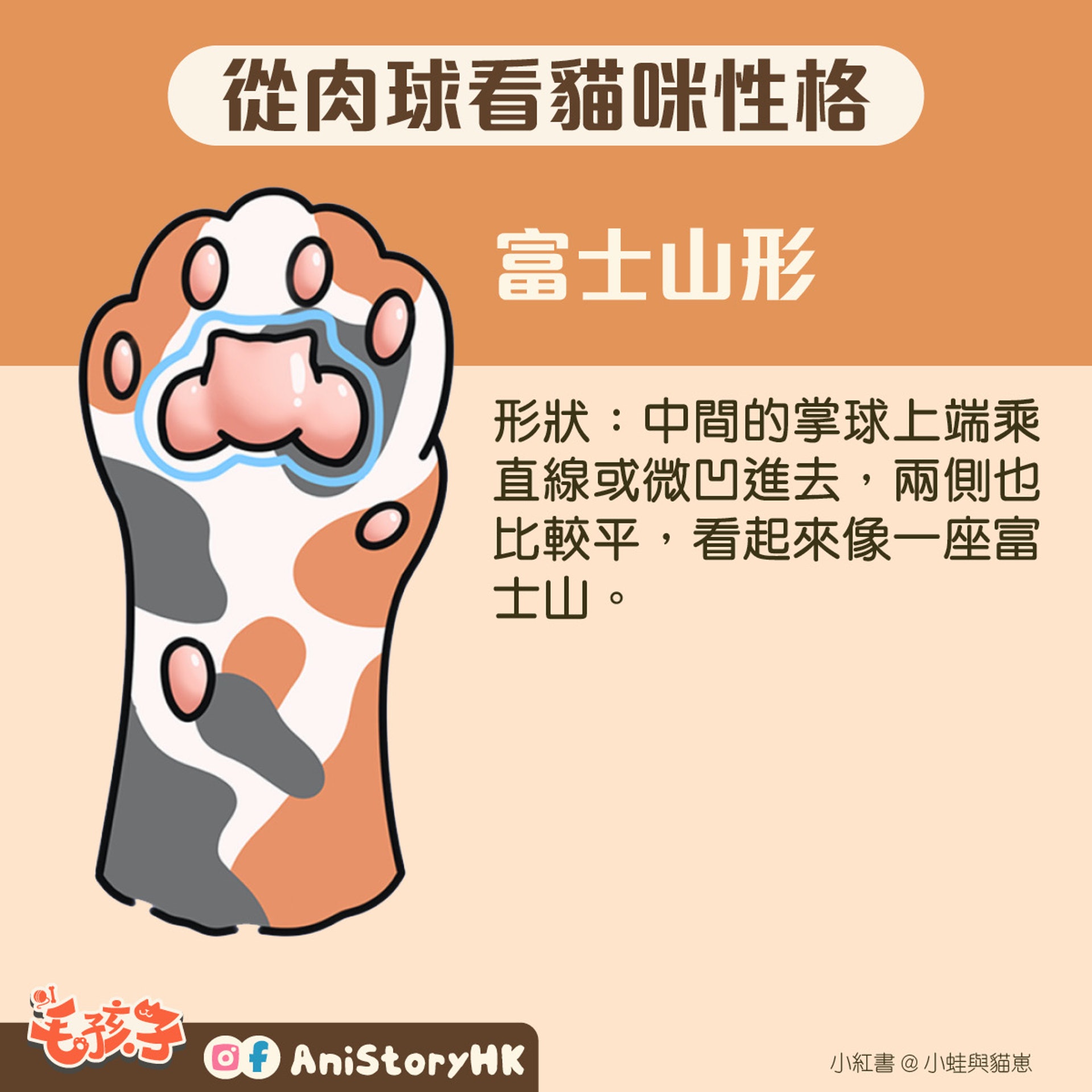 神準 貓肉球形狀反映真實性格一看即知親人度惡霸都是樣子 香港01 寵物 神準 貓肉球形狀反映真實性格一看即知親人度惡霸都是樣子 香港01 寵物