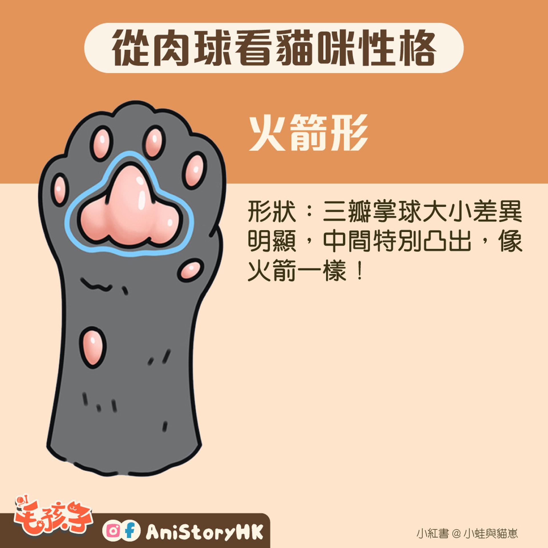 神準 貓肉球形狀反映真實性格一看即知親人度惡霸都是樣子 香港01 寵物 神準 貓肉球形狀反映真實性格一看即知親人度惡霸都是樣子 香港01 寵物