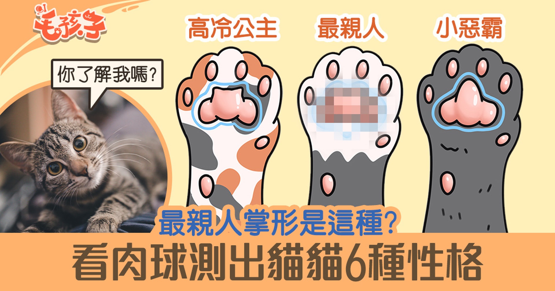 神準 貓肉球形狀反映真實性格一看即知親人度惡霸都是樣子 香港01 寵物 神準 貓肉球形狀反映真實性格一看即知親人度惡霸都是樣子 香港01 寵物