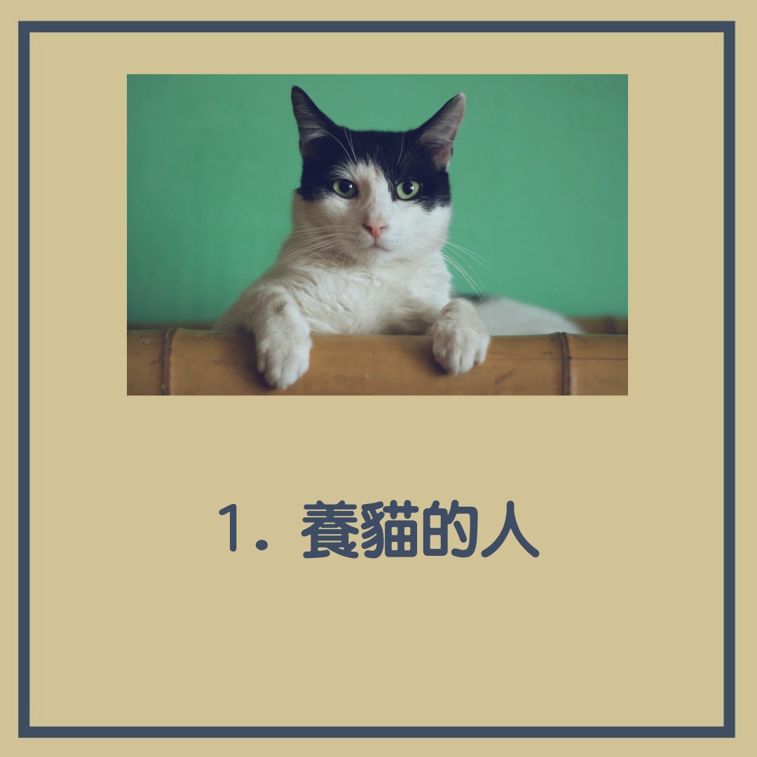 6類毛主人性格分析（01製圖，Manja Vitolic／Unsplash）
