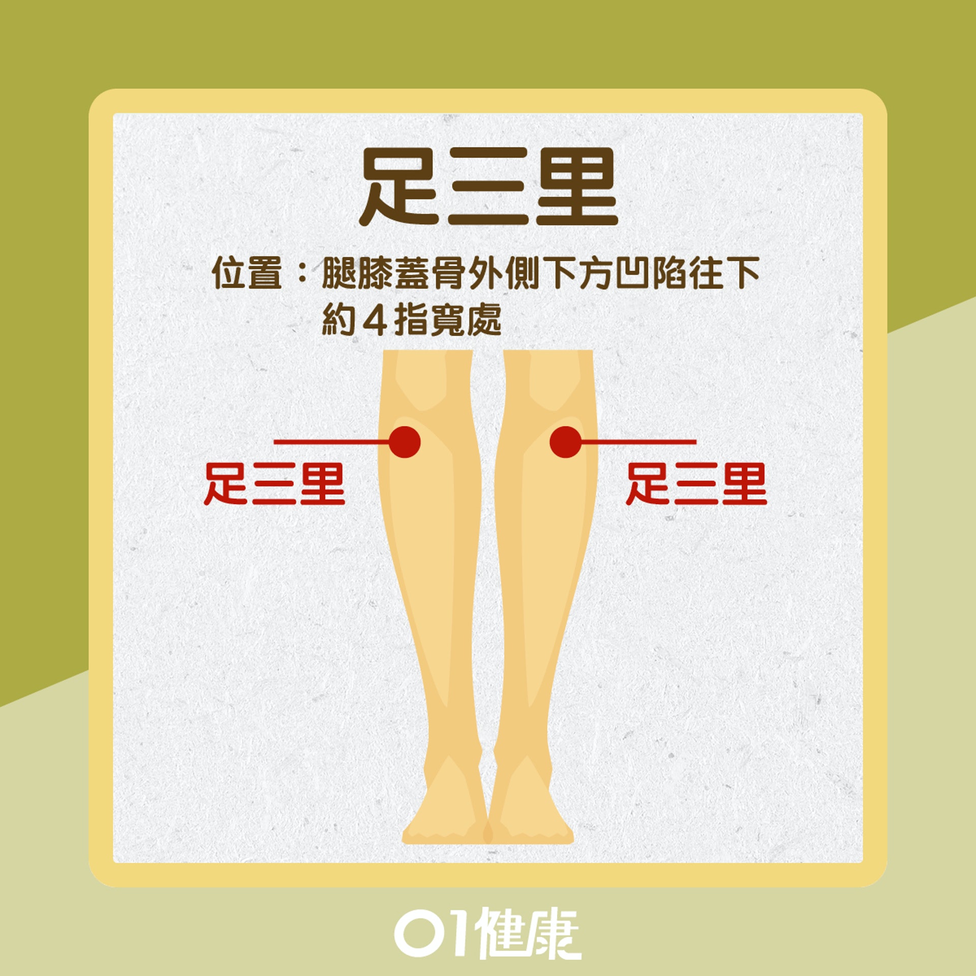 足三里穴(01製圖) 足三里穴(01製圖)