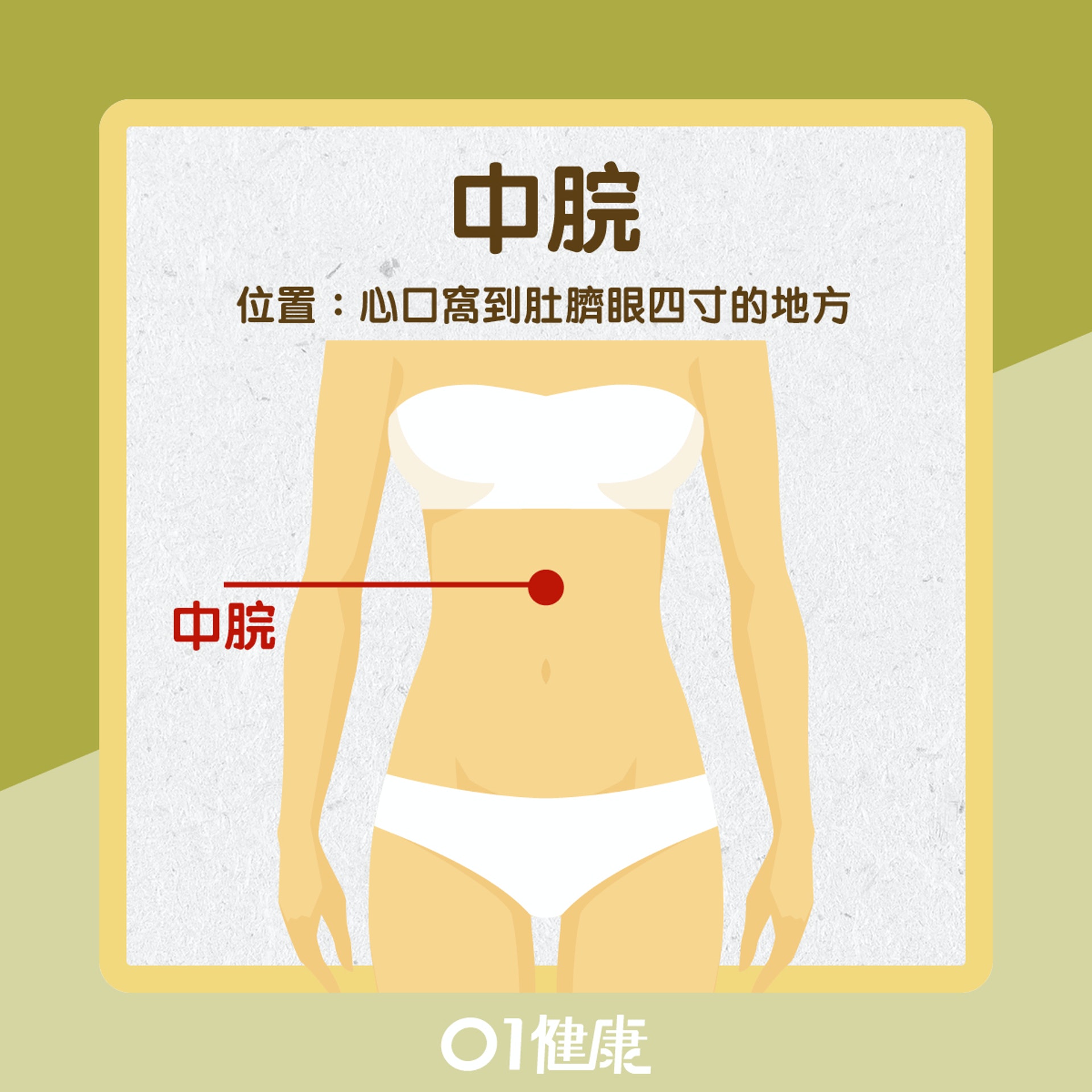 中脘穴(01製圖) 中脘穴(01製圖)