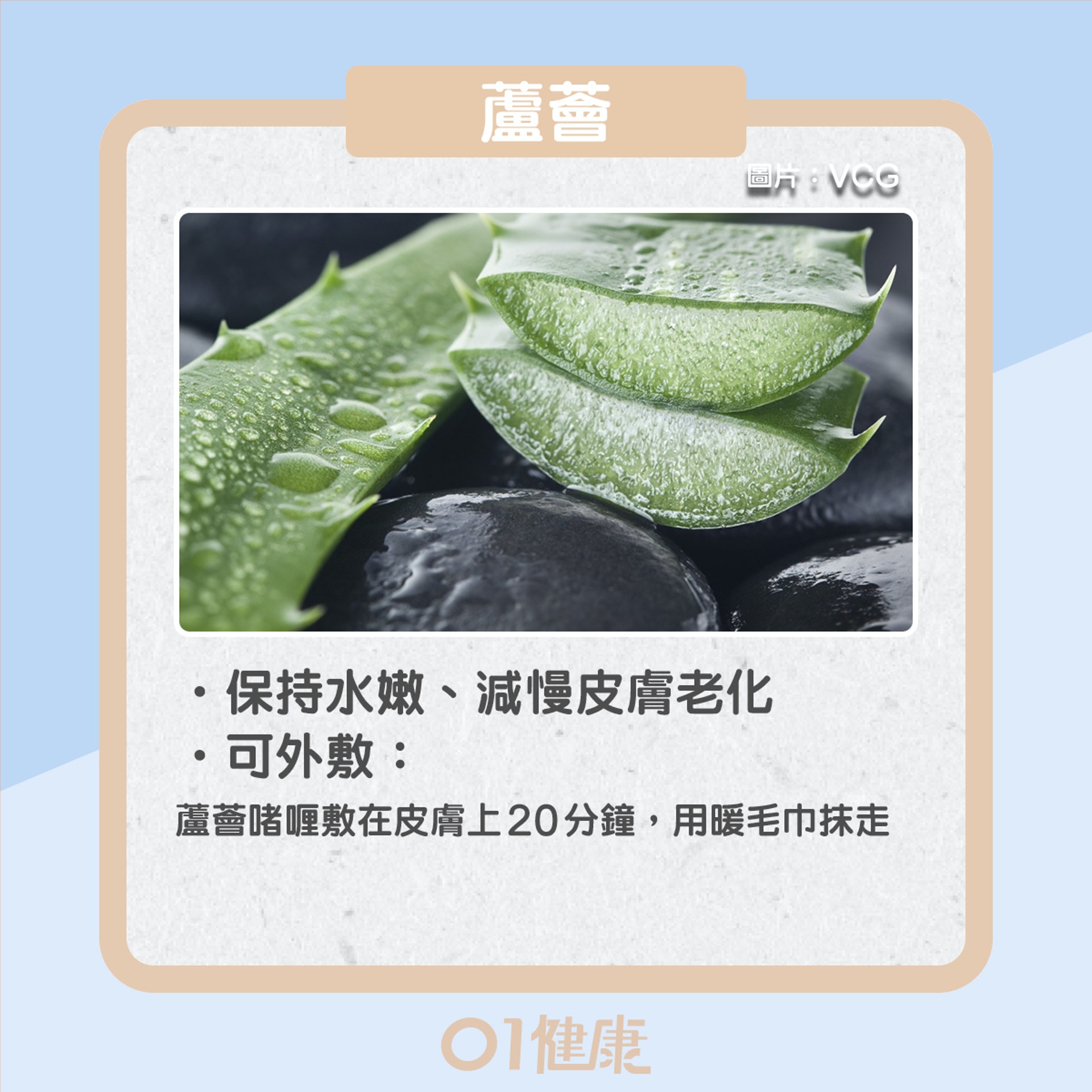 潤膚食物(01製圖) 潤膚食物(01製圖)