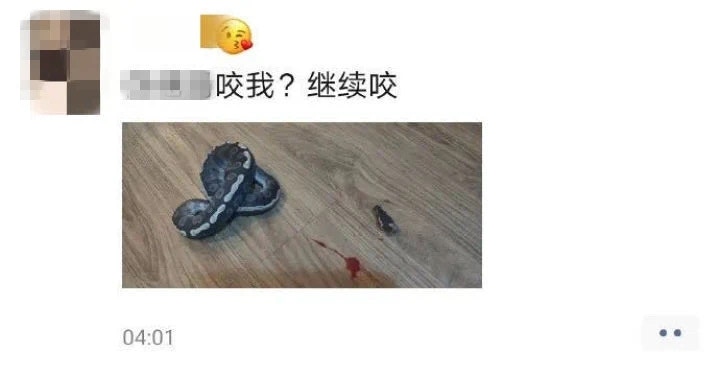 史某殺死自家飼養的蟒蛇後在朋友圈上晒相炫耀。（微博）