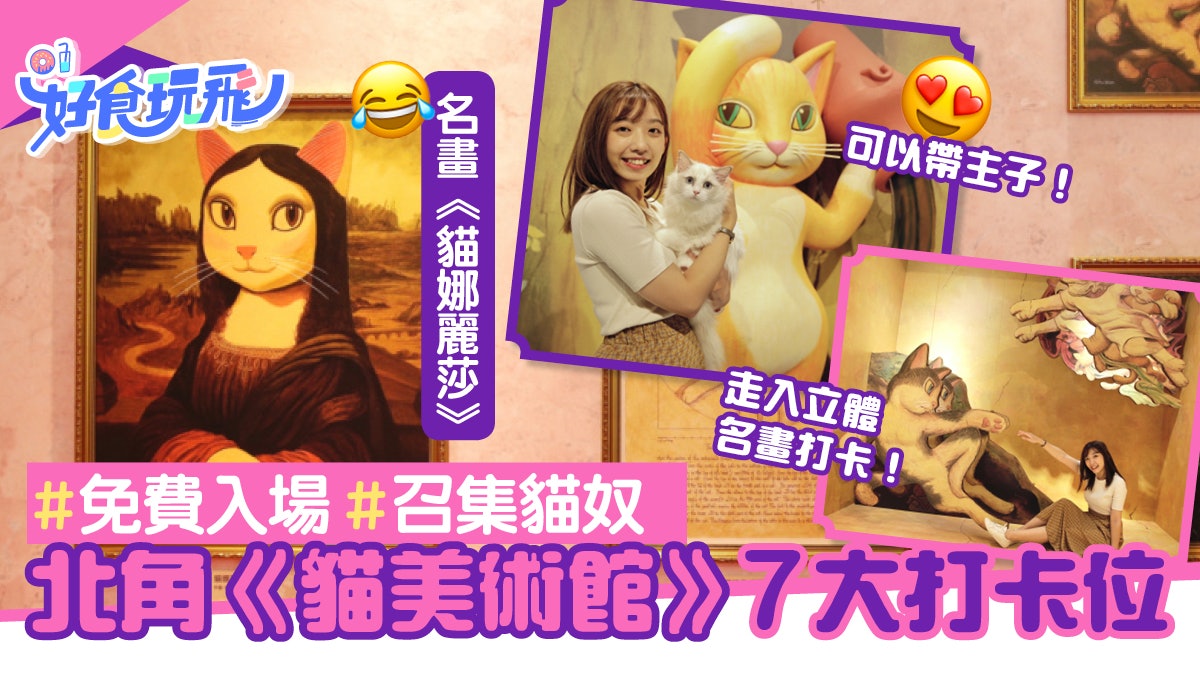 貓美術館CAT ART北角匯免費睇 推介7個打卡位 帶貓去有一個限制 貓美術館CAT ART北角匯免費睇 推介7個打卡位 帶貓去有一個限制