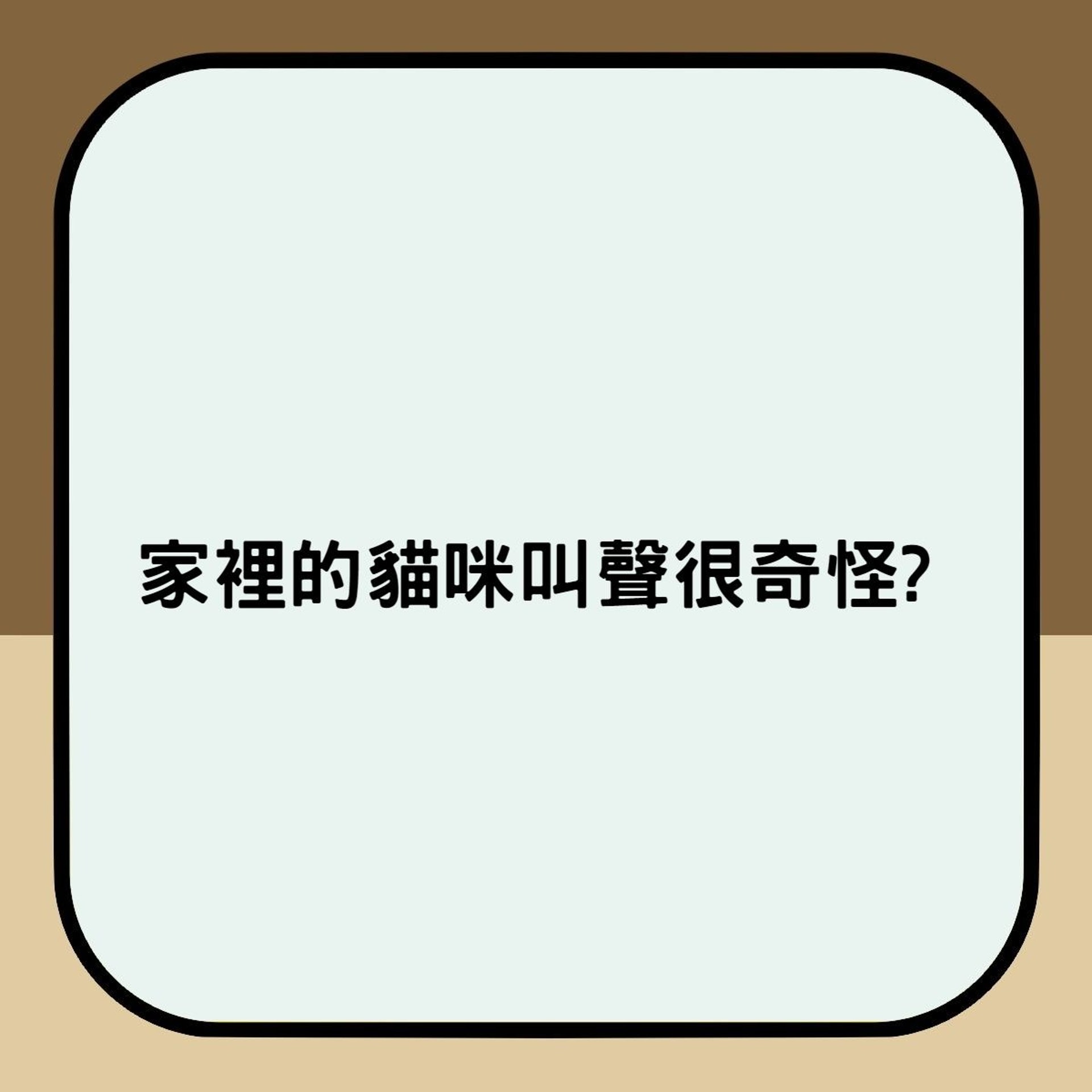 家裡的貓咪叫聲很奇怪?(香港01製圖) 家裡的貓咪叫聲很奇怪?(香港01製圖)