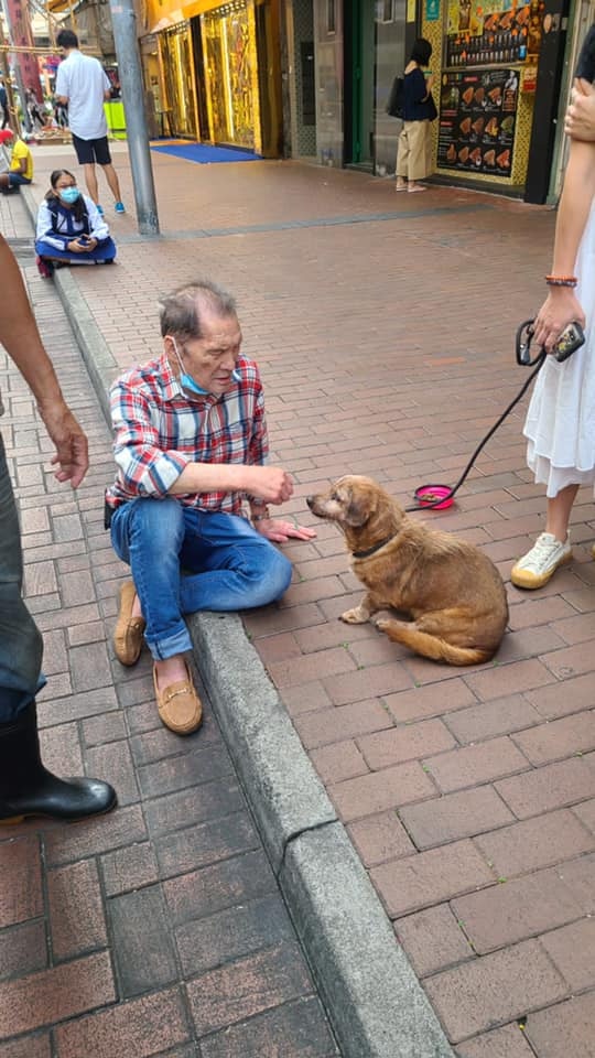 當時患有腦退化症、行動不便的陳伯,在妻子陪同下抵達現場,陳伯眼見愛犬流離失所、生活悲慘,他亦坐在地面安撫愛犬。(毛孩守護者facebook圖片) 當時患有腦退化症、行動不便的陳伯,在妻子陪同下抵達現場,陳伯眼見愛犬流離失所、生活悲慘,他亦坐在地面安撫愛犬。(毛孩守護者facebook圖片)