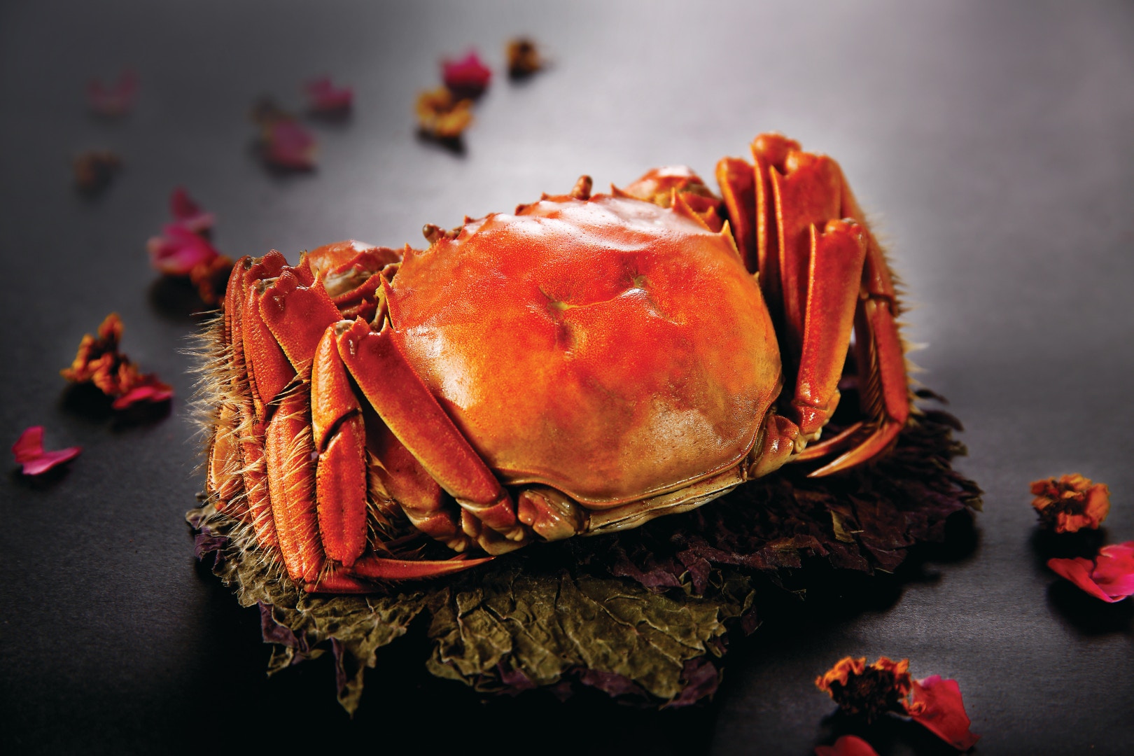 大閘蟹 4間 400內大閘蟹宴最平 7歎爆膏麻辣蟹 酸菜魚 香港01 食玩買 大閘蟹 4間 400內大閘蟹宴最平 7歎爆膏麻辣蟹 酸菜魚 香港01 食玩買