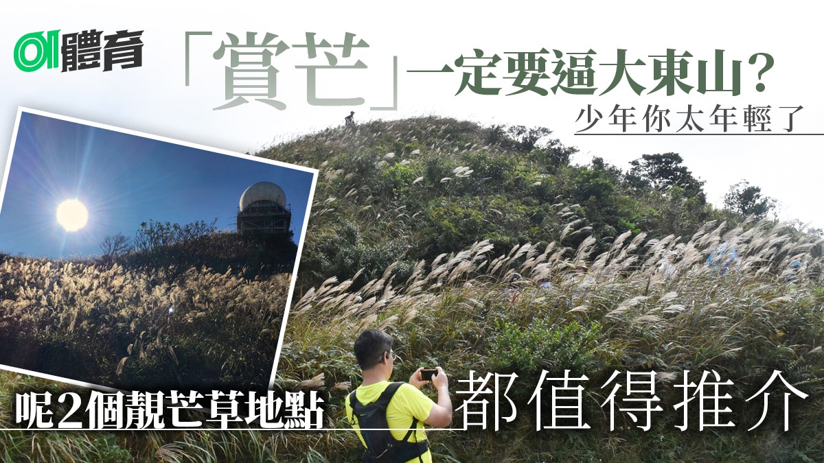 【行山】天涯何處無芒草 何必逼去大東山 【行山】天涯何處無芒草 何必逼去大東山