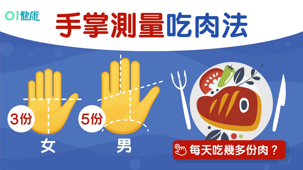 蛋白質攝取量】1日6份蛋白質=幾多肉？計算分量靠睇手掌超簡單