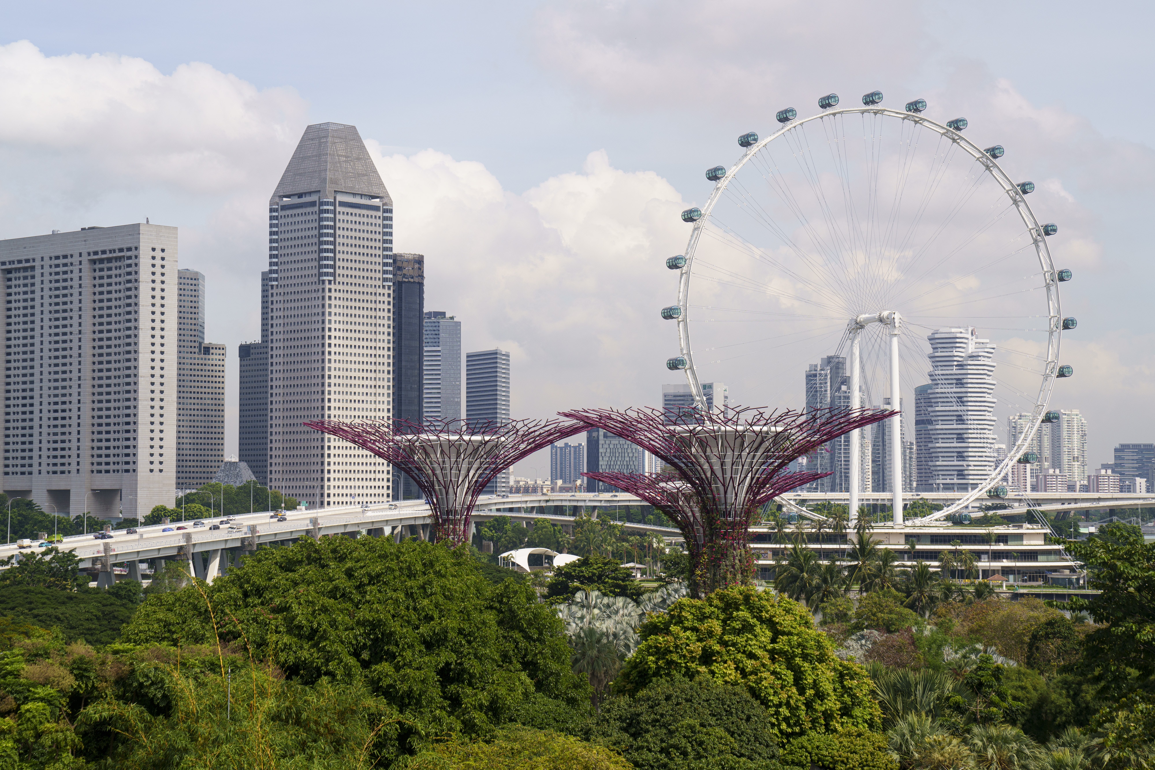 圖為2020年11月11日，新加坡的濱海灣公園。（Getty Images）