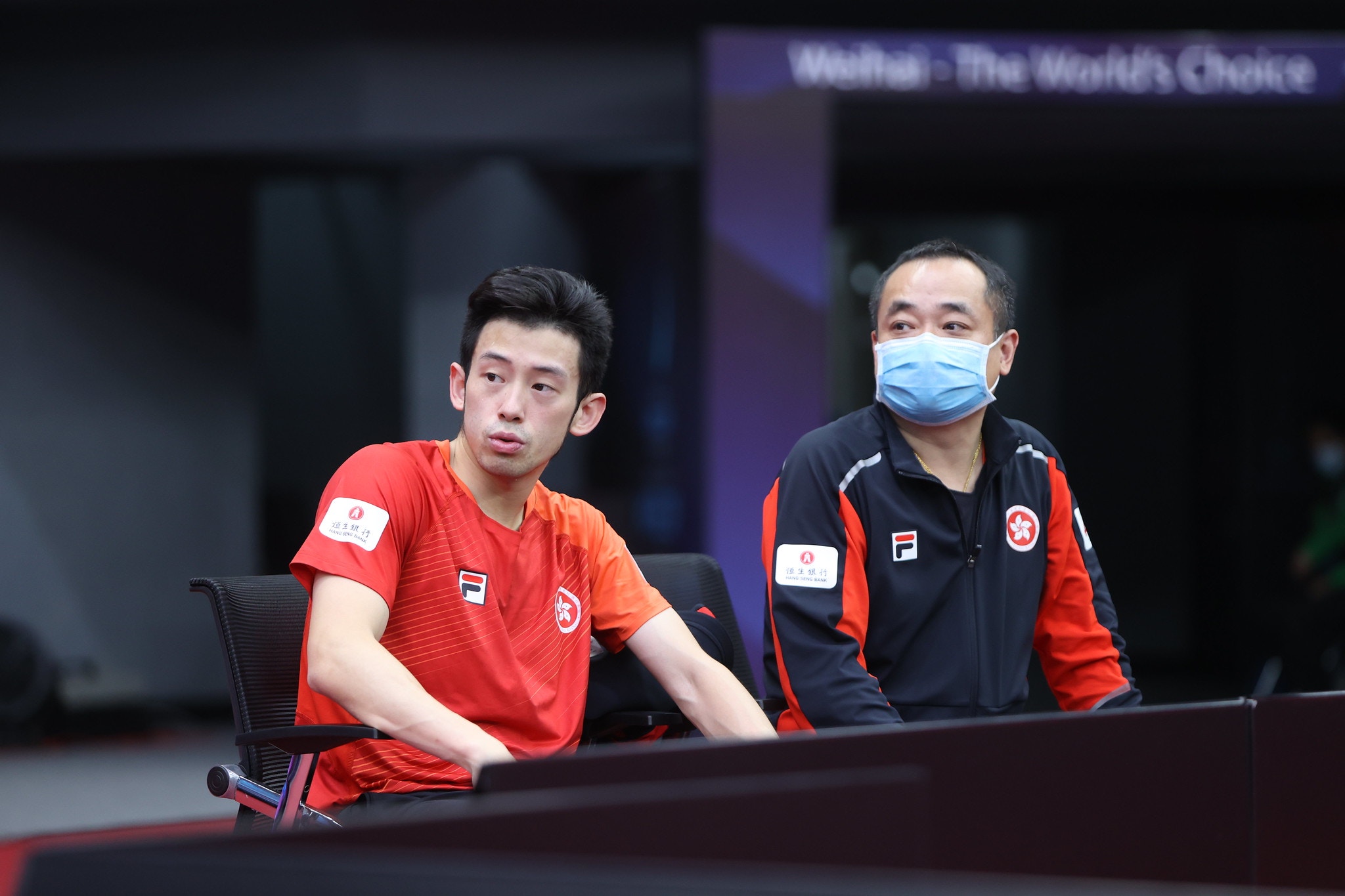 張本智和 香港01 張本智和 香港01
