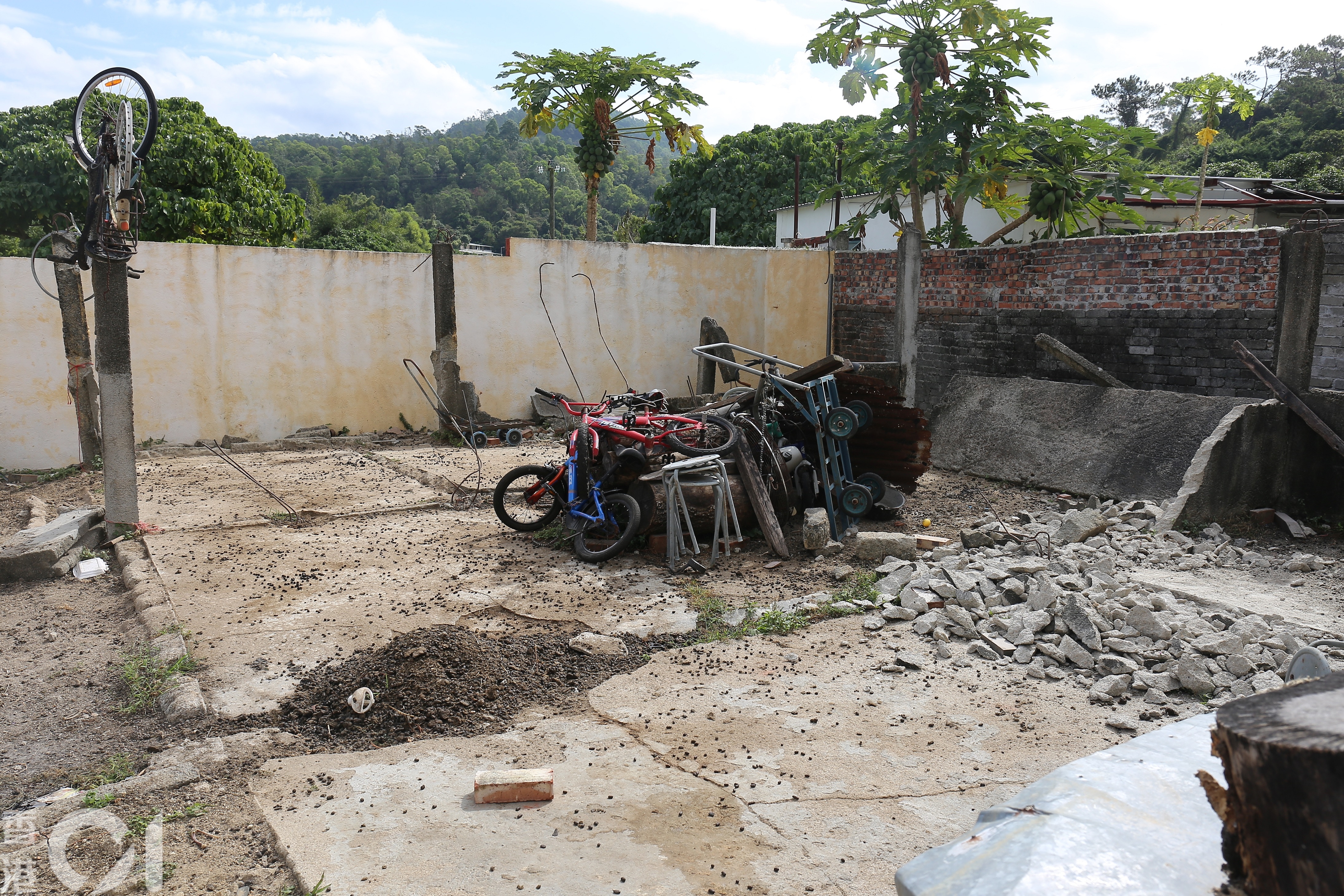 阿傑所養的羊日頭放養,夜晚會返回前園。他正為羊建屋,唯現今只剩4隻小羊。(郭倩雯攝) 阿傑所養的羊日頭放養,夜晚會返回前園。他正為羊建屋,唯現今只剩4隻小羊。(郭倩雯攝)