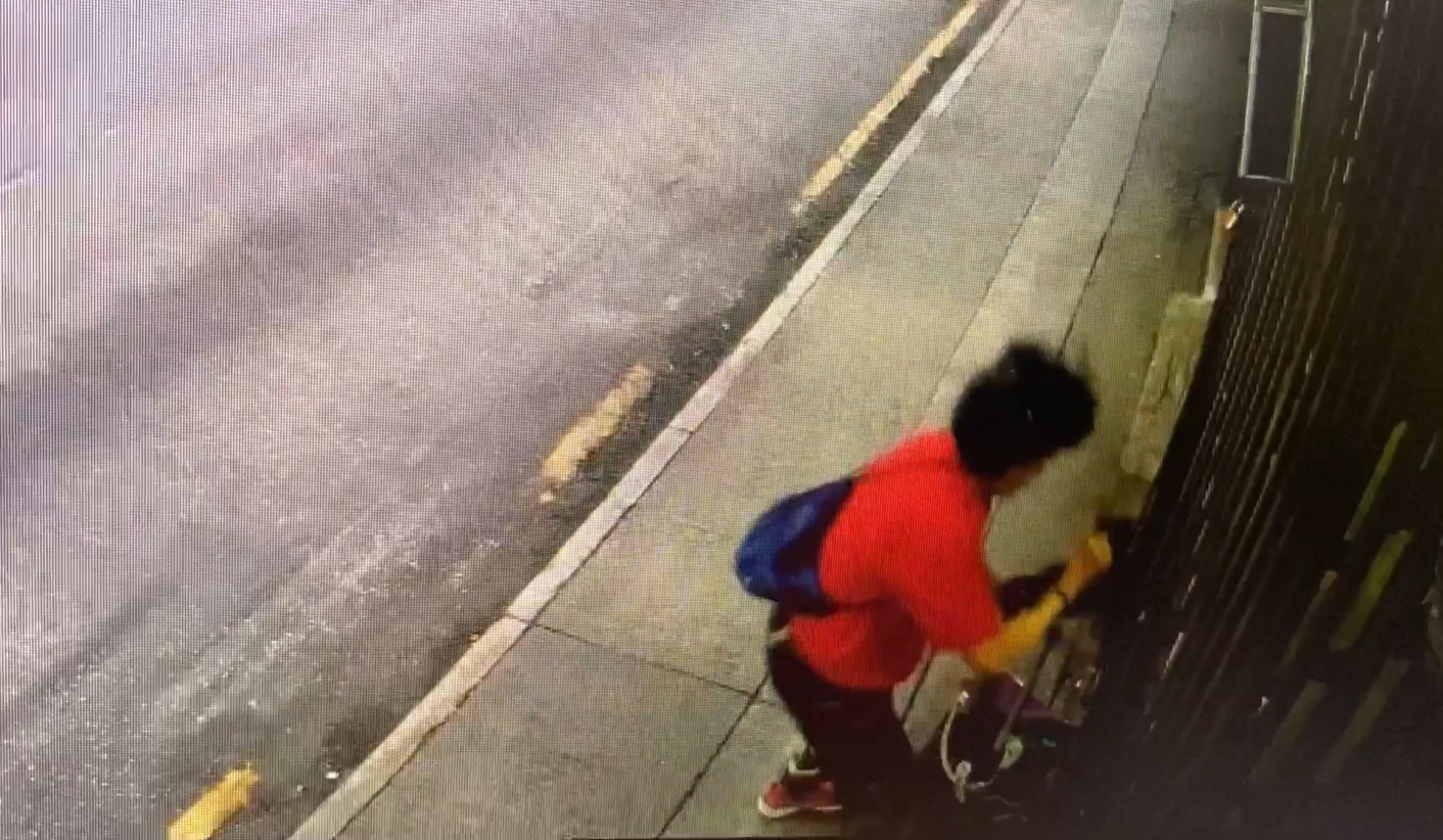 日前油麻地果欄發生偷貓案,一隻兩個月大的黑白幼貓「亞寶」被捉走。(Facebook@Maggie Lee) 日前油麻地果欄發生偷貓案,一隻兩個月大的黑白幼貓「亞寶」被捉走。(Facebook@Maggie Lee)