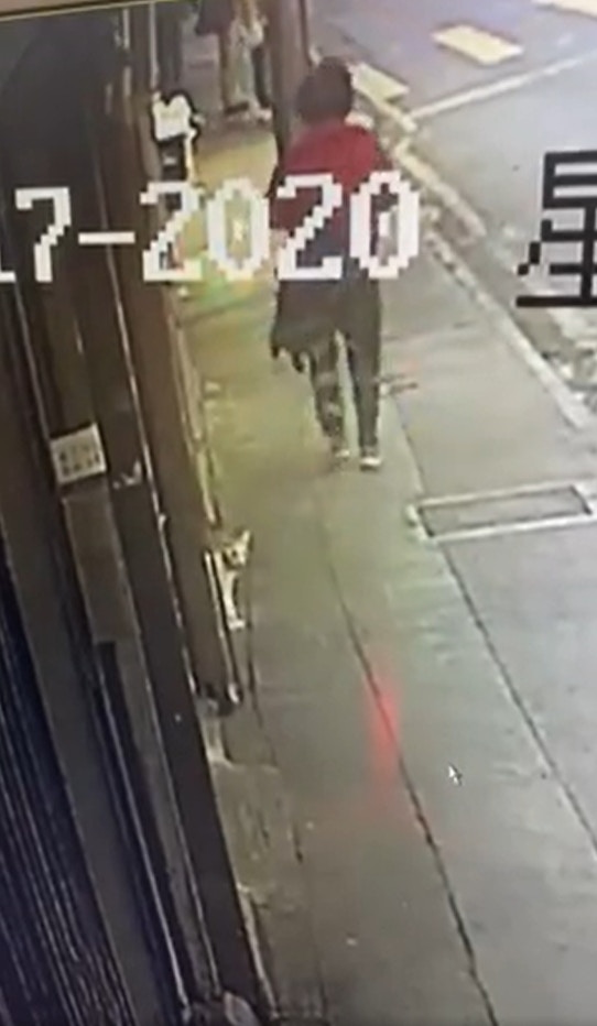 日前油麻地果欄發生偷貓案,一隻兩個月大的黑白幼貓「亞寶」被捉走。(Facebook@Maggie Lee) 日前油麻地果欄發生偷貓案,一隻兩個月大的黑白幼貓「亞寶」被捉走。(Facebook@Maggie Lee)