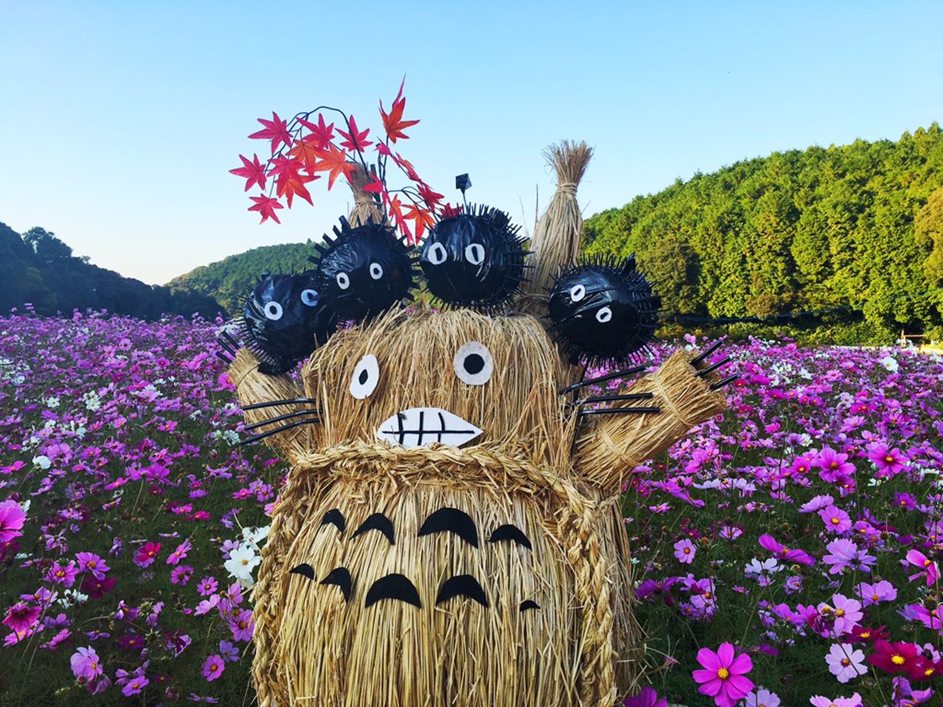 其實呢隻Low Cost龍貓都另有一番風味。(網上圖片) 其實呢隻Low Cost龍貓都另有一番風味。(網上圖片)