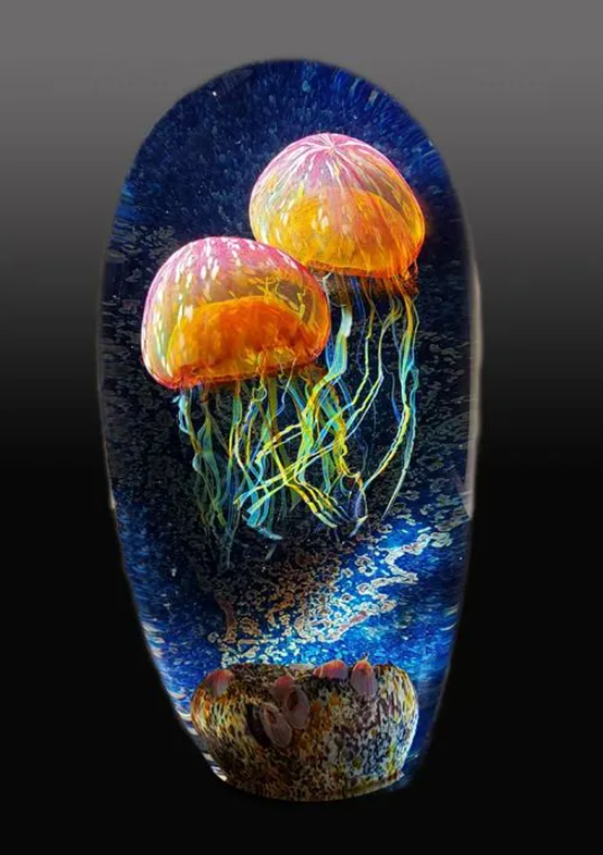 如果不是一次在蒙特利灣水族館裏忽然湧上來的好奇心所驅使,那理查德到底還會不會創作出如此栩栩如生的玻璃水母誰也不敢說。(satava.com) 如果不是一次在蒙特利灣水族館裏忽然湧上來的好奇心所驅使,那理查德到底還會不會創作出如此栩栩如生的玻璃水母誰也不敢說。(satava.com)