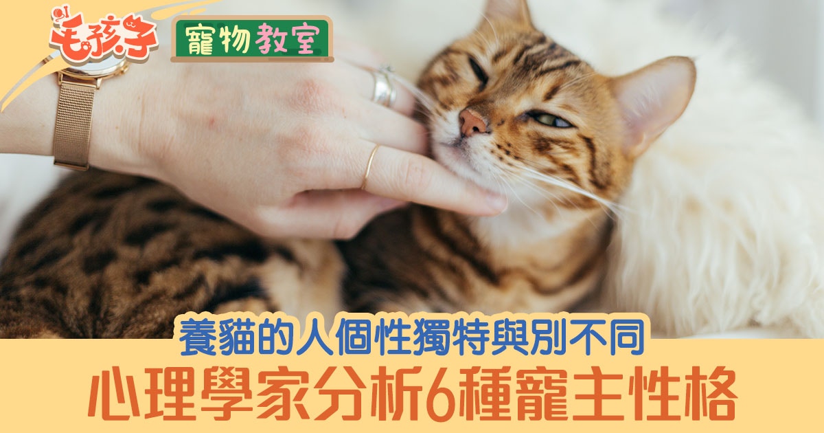 養貓的人較有個性　養狗的人也最忠心？心理學家分析6種寵主性格