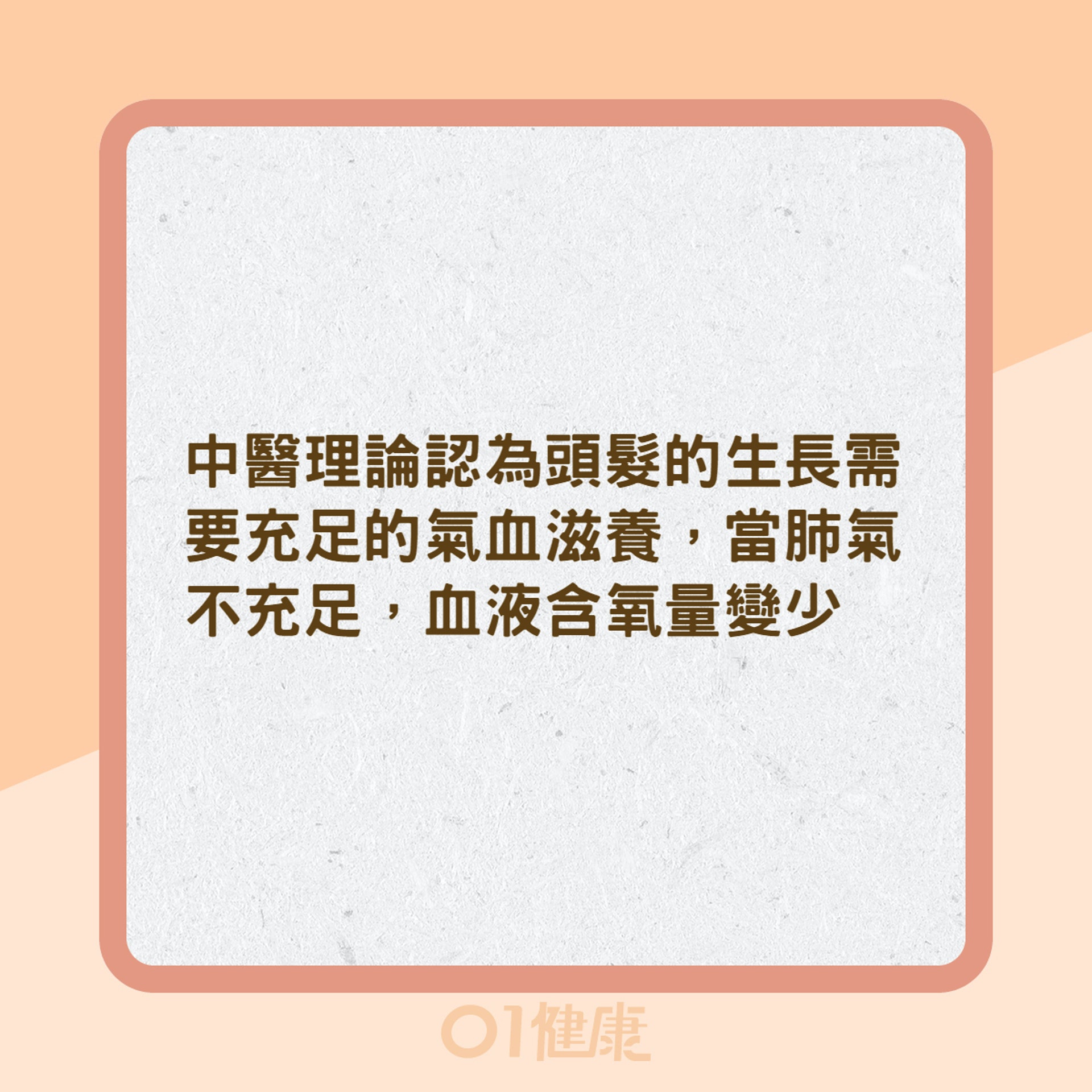 鬼剃頭是壓力大害的?(01製圖) 鬼剃頭是壓力大害的?(01製圖)