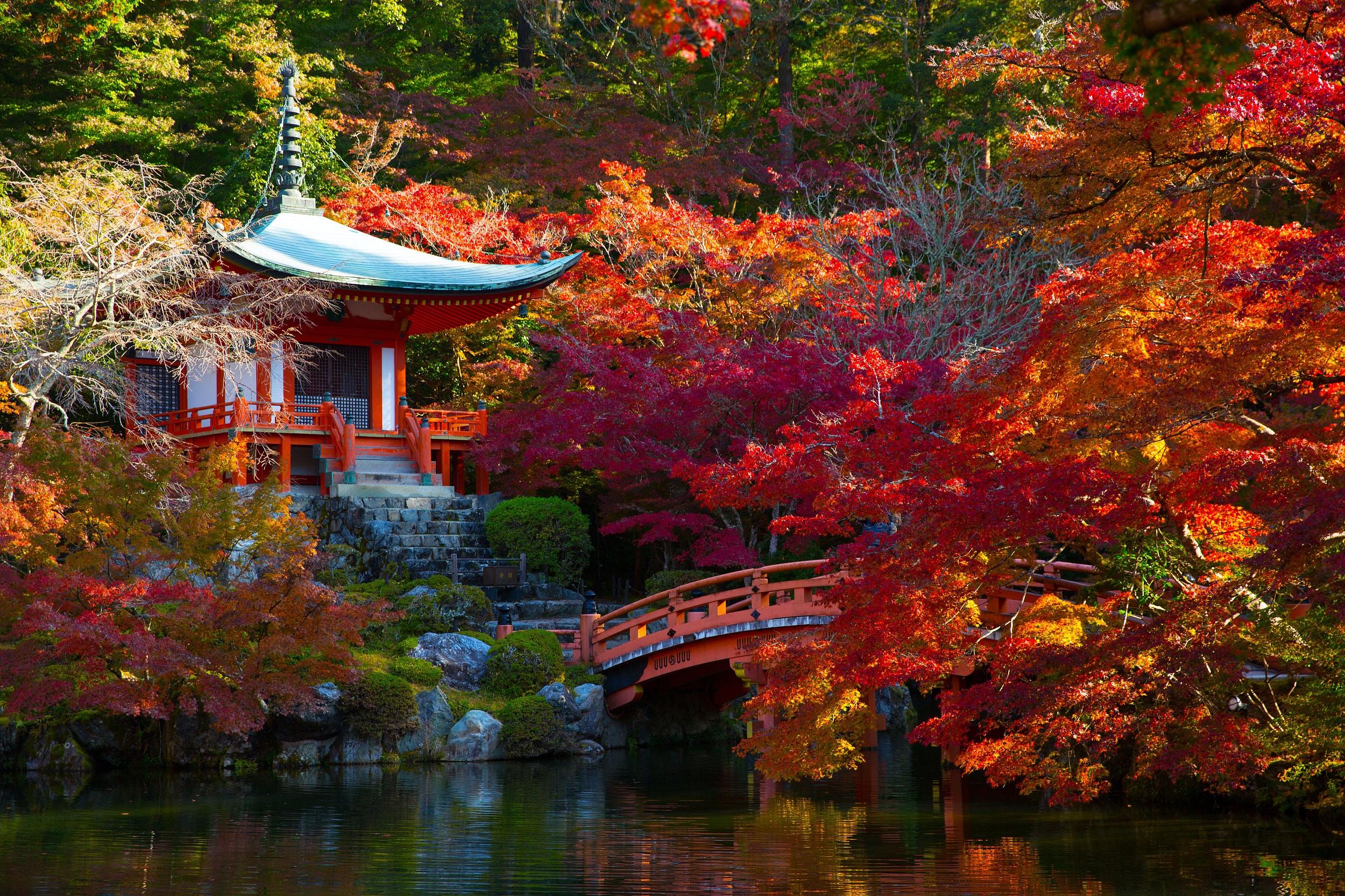 圖輯 秋意漸濃日本各地紅葉處處迎賞楓賞景賞秋香佳期