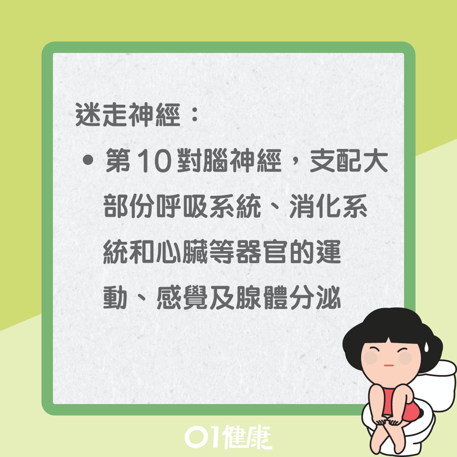 便秘導致健康危機(01製圖) 便秘導致健康危機(01製圖)