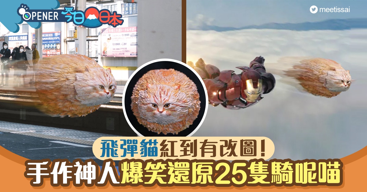 日本手作神人繼勾拳柴犬、口罩貓有新作 還原25隻騎呢喵笑翻網民