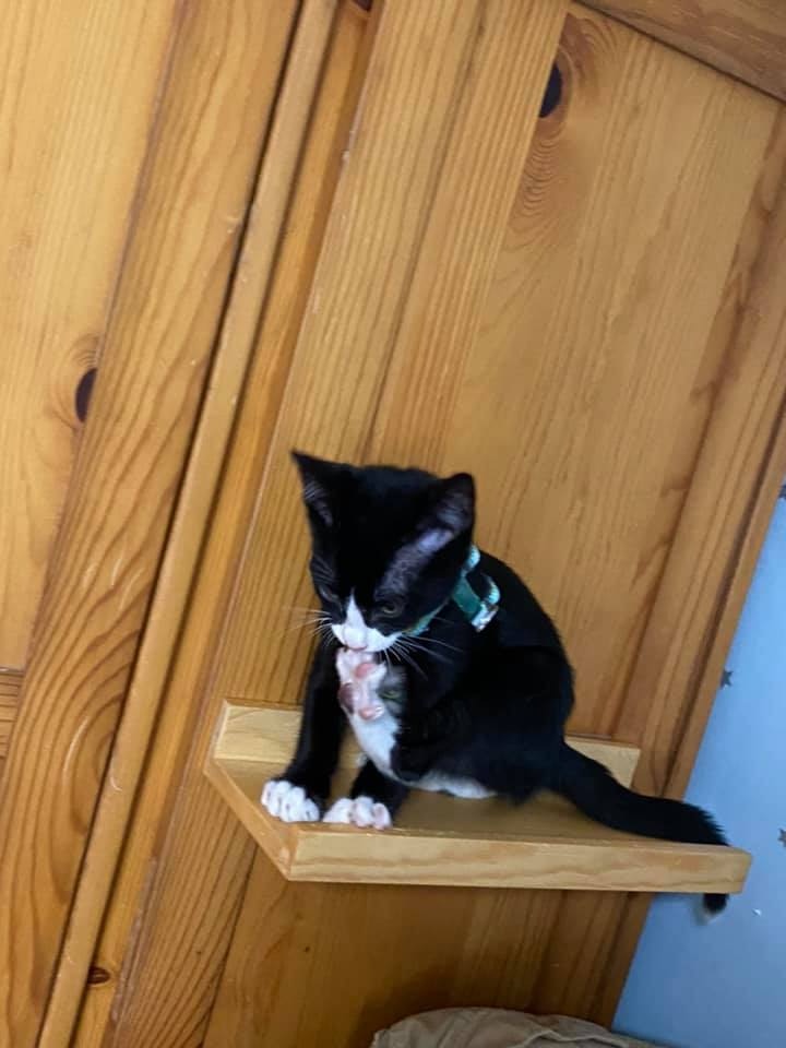 (Facebook@Maggie Lee) (Facebook@Maggie Lee)