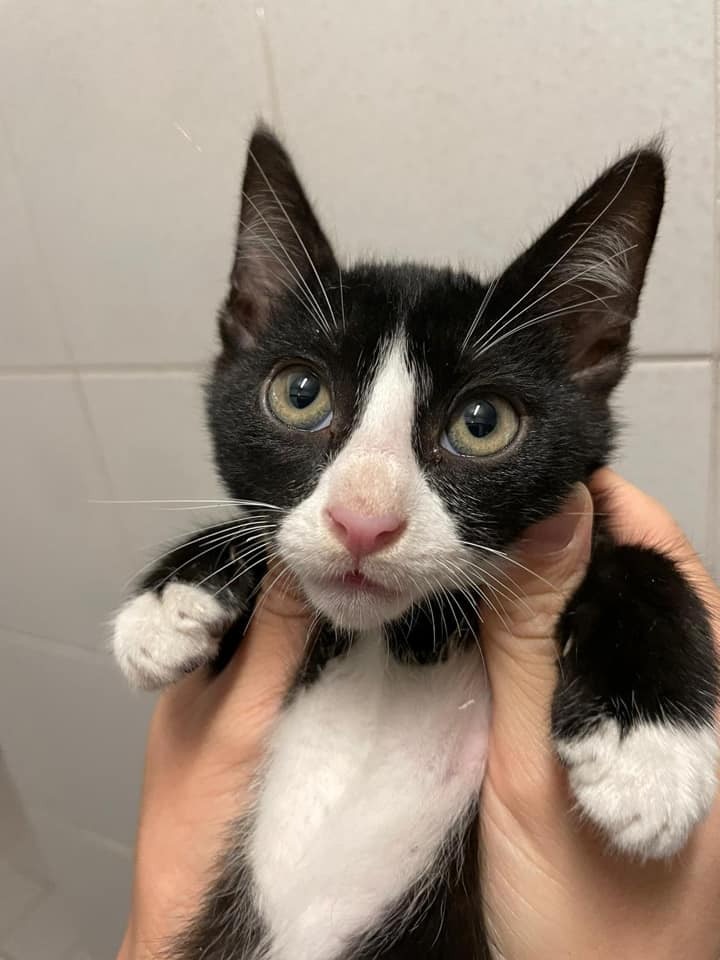 (Facebook@Maggie Lee) (Facebook@Maggie Lee)