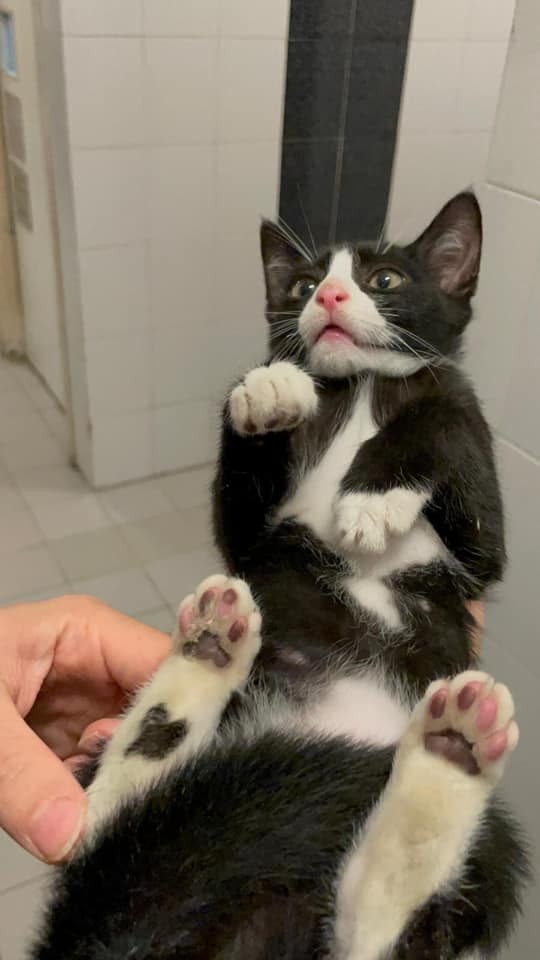 (Facebook@Maggie Lee) (Facebook@Maggie Lee)