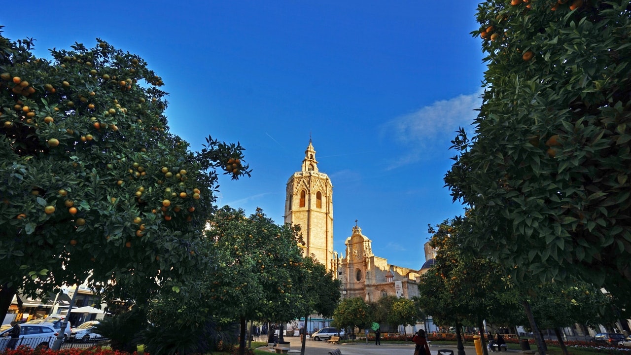 外國專才眼中全球最佳城市為西班牙華倫西亞香港落後幾多位？