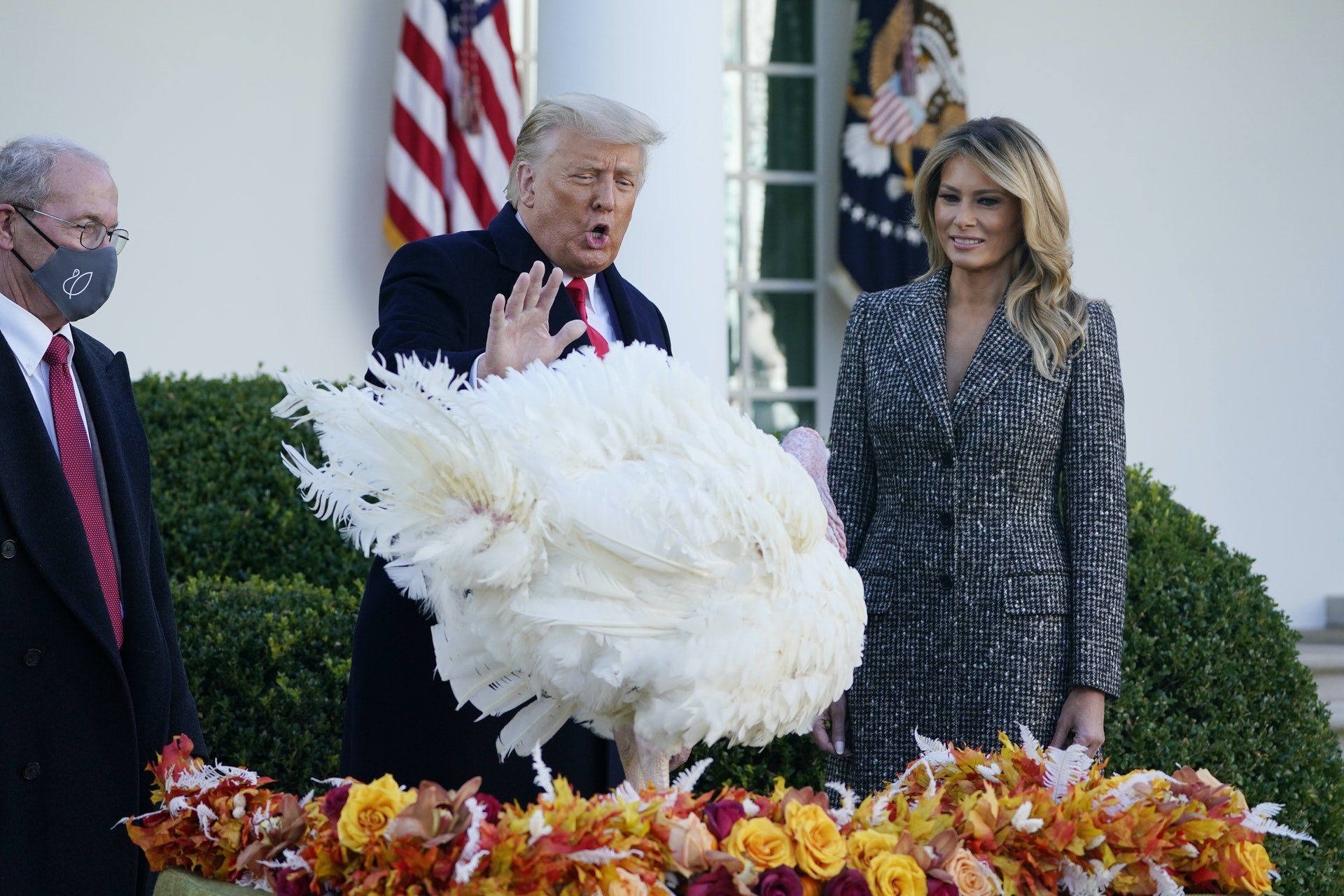 2020年感恩節（11月24日），特朗普和第一夫人梅拉尼婭在白宮玫瑰園「赦免」一隻火雞。同一天，他也赦免了前國家安全顧問、國防情報局局長弗林。（AP）